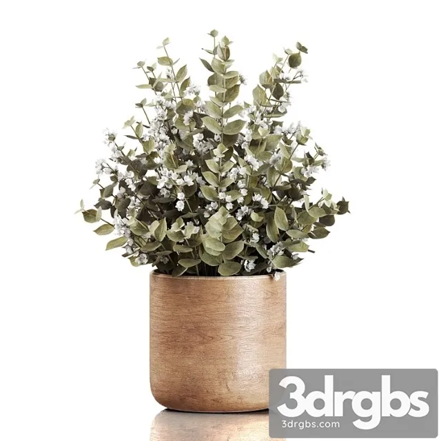 Plants Bouquet 02 3D Model Download Plants Bouquet 02 3D Model Download