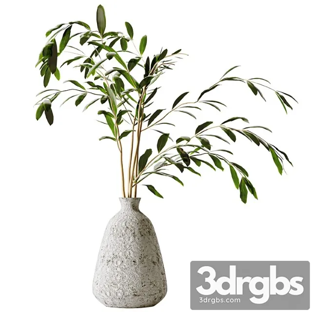 Plants Bouquet Bouquet 01 Plants Bouquet Bouquet 01