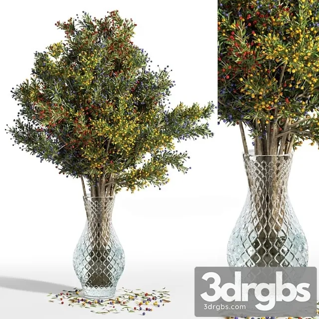 Plants bouquet green branch in vase branches berries 02 Plants bouquet green branch in vase branches berries 02