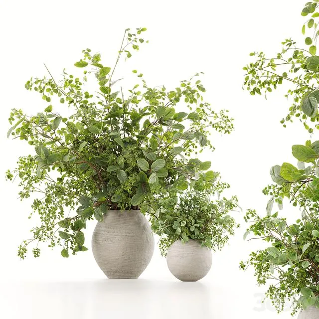 Plants Bouquets 07 3D Model