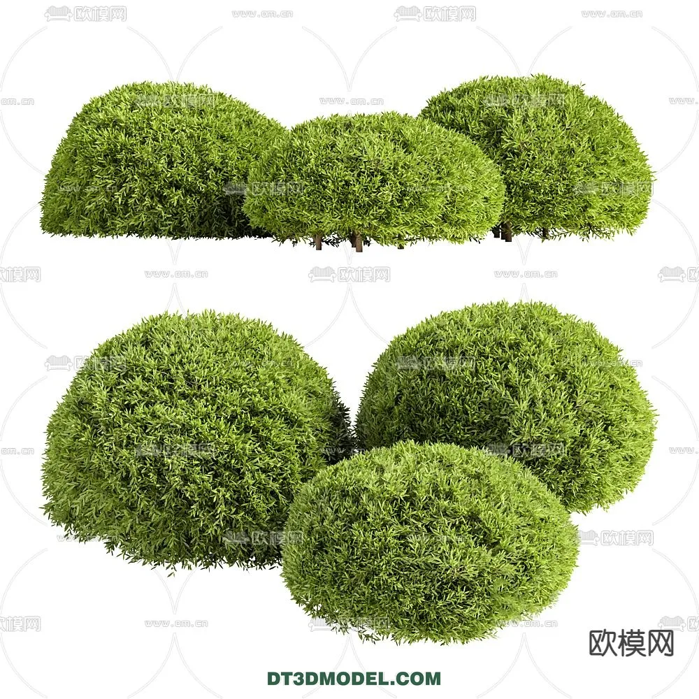 PLANTS – BUSH – CORONA – 3D MODEL – 267