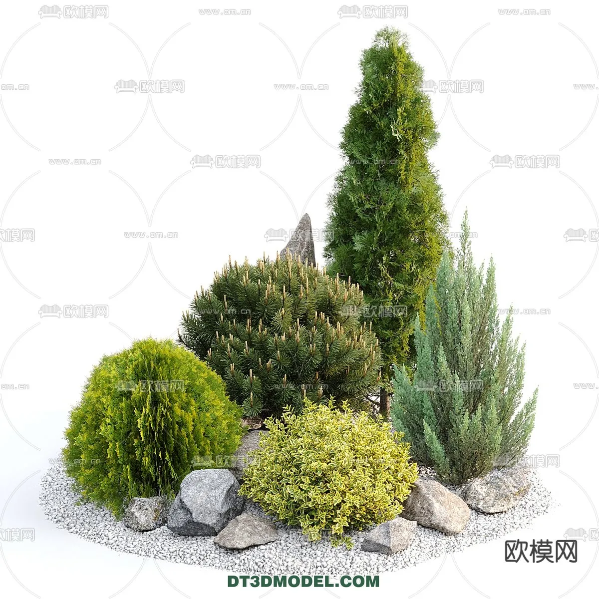 PLANTS – BUSH – CORONA – 3D MODEL – 311