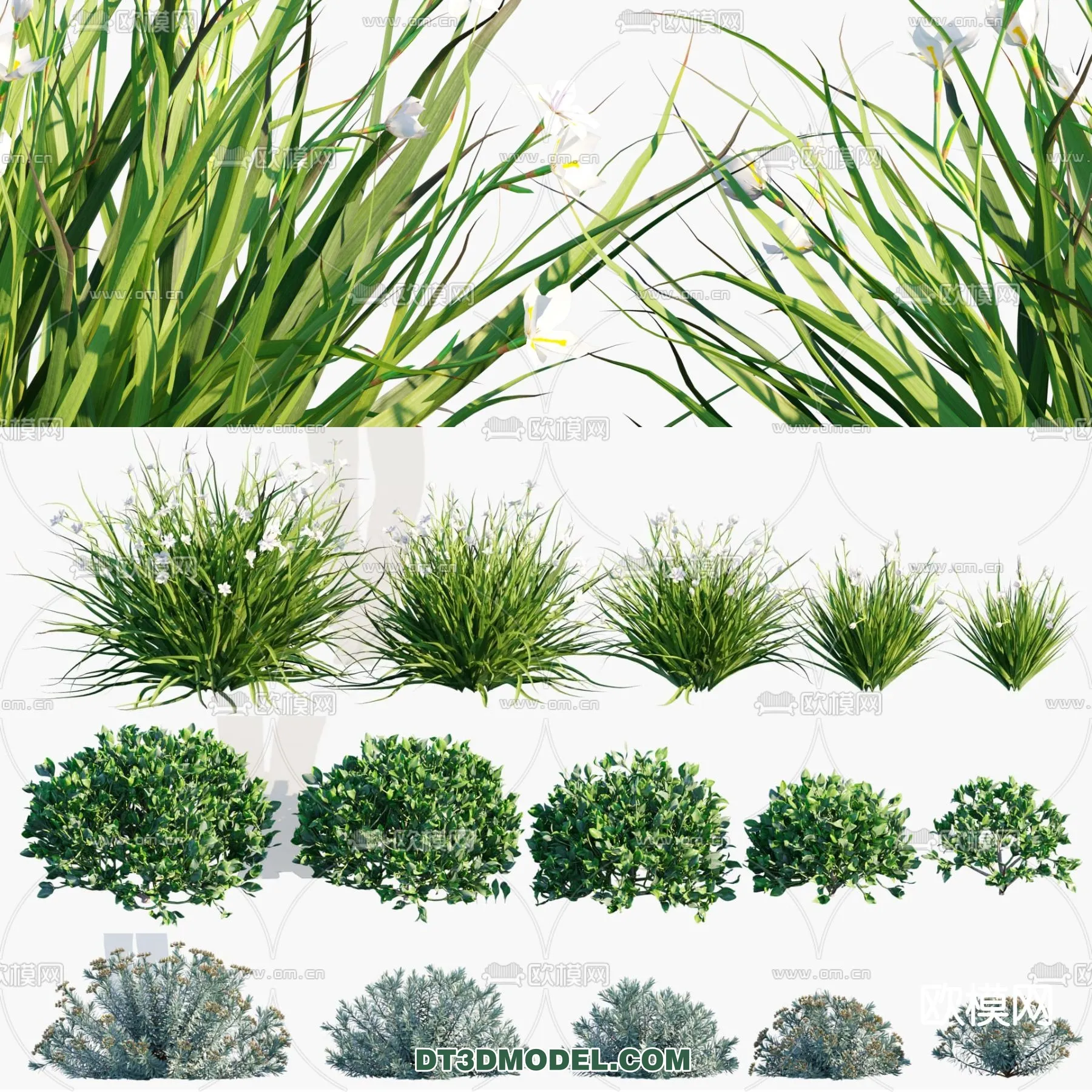 PLANTS – BUSH – CORONA – 3D MODEL – 324