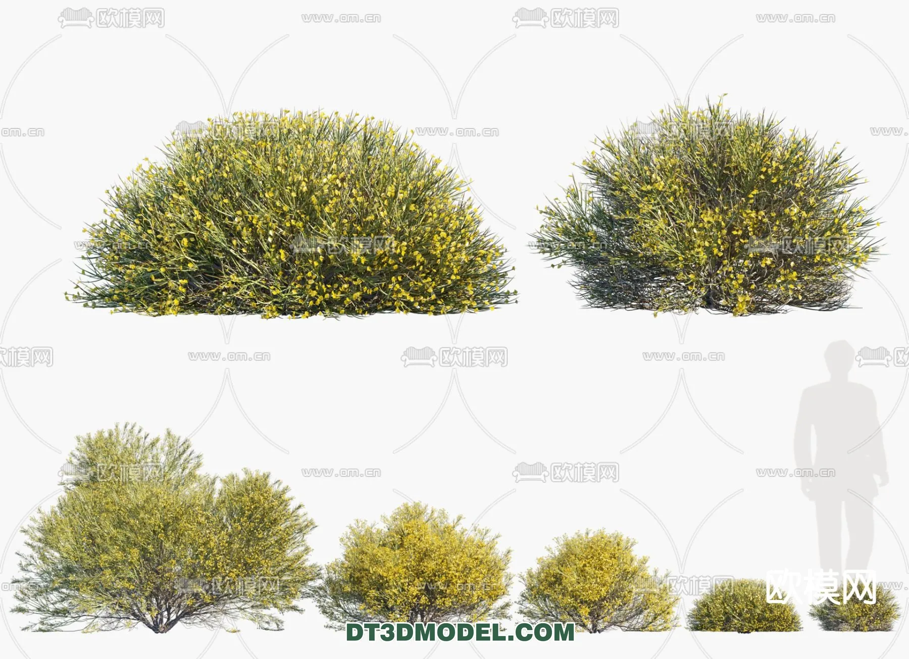 PLANTS – BUSH – CORONA – 3D MODEL – 336