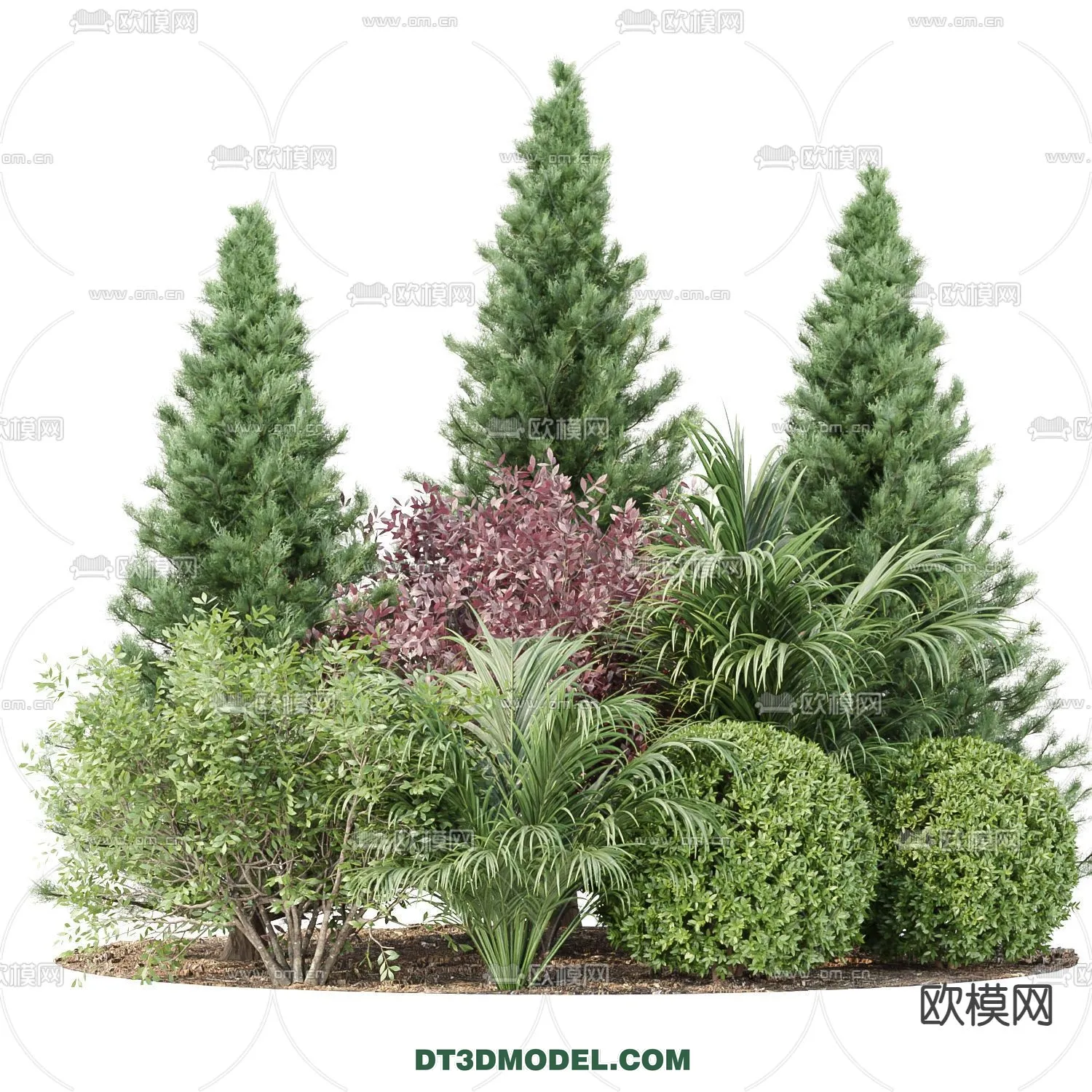 PLANTS – BUSH – CORONA – 3D MODEL – 365