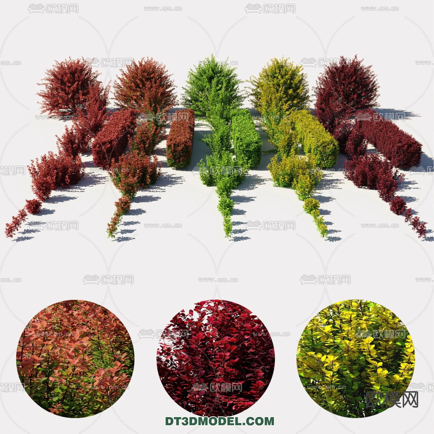 PLANTS – BUSH – CORONA – 3D MODEL – 378