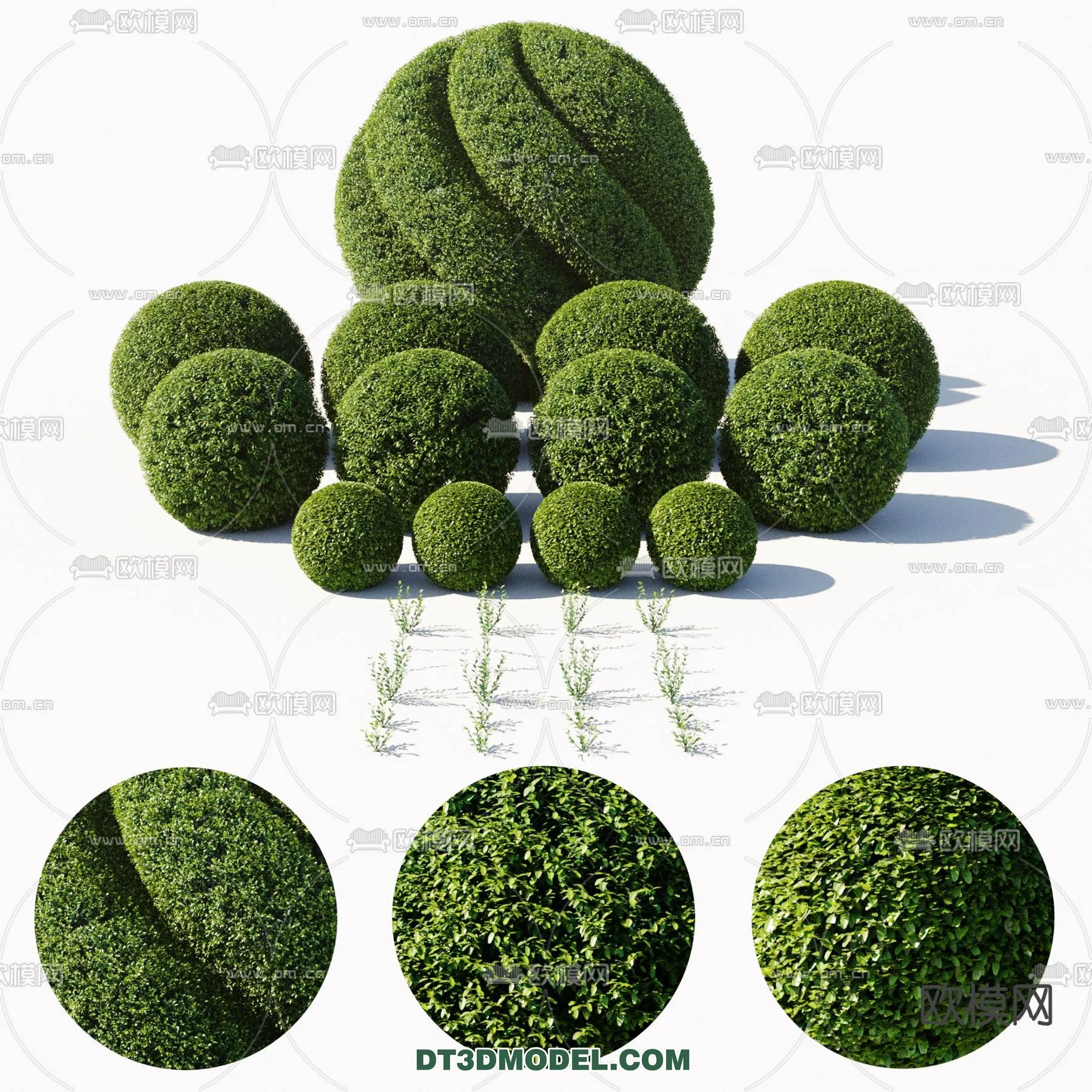PLANTS – BUSH – CORONA – 3D MODEL – 379
