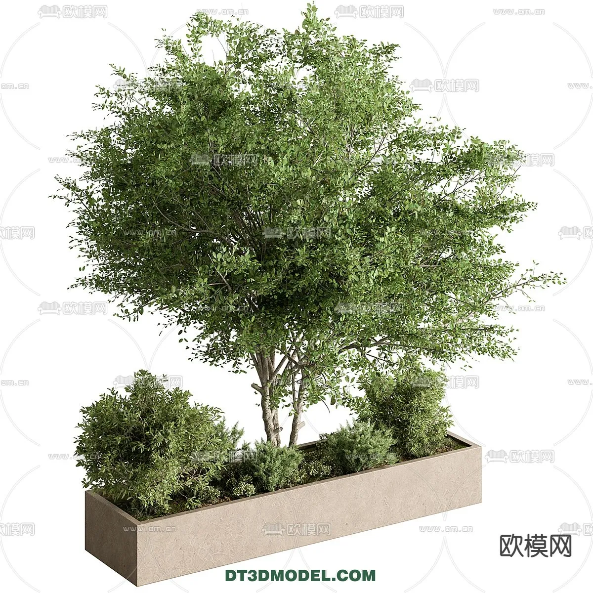 PLANTS – BUSH – CORONA – 3D MODEL – 385