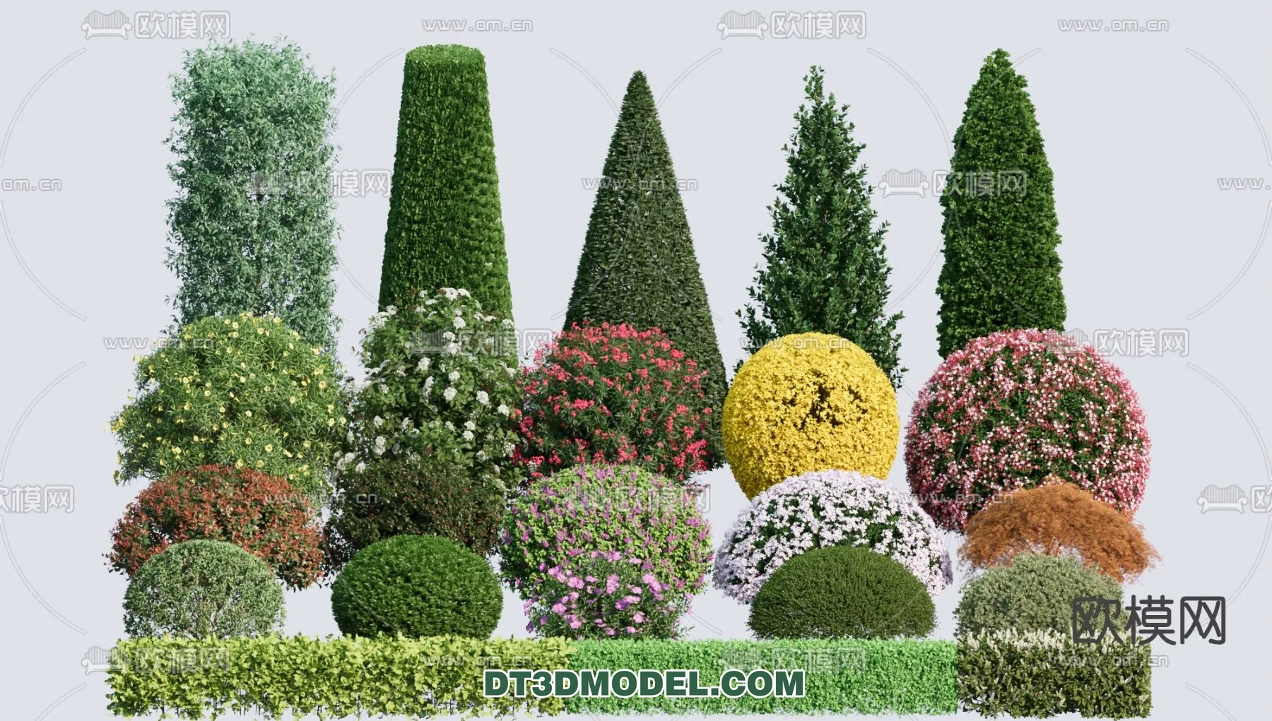 PLANTS – BUSH – CORONA – 3D MODEL – 394