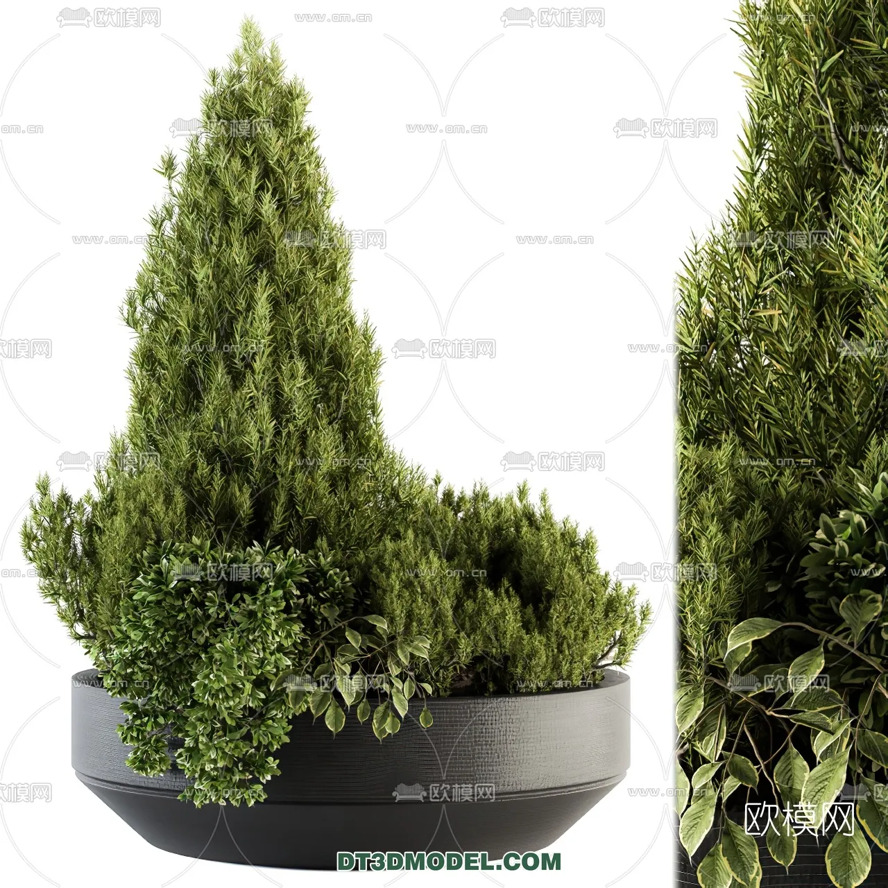 PLANTS – BUSH – VRAY / CORONA – 3D MODEL – 251