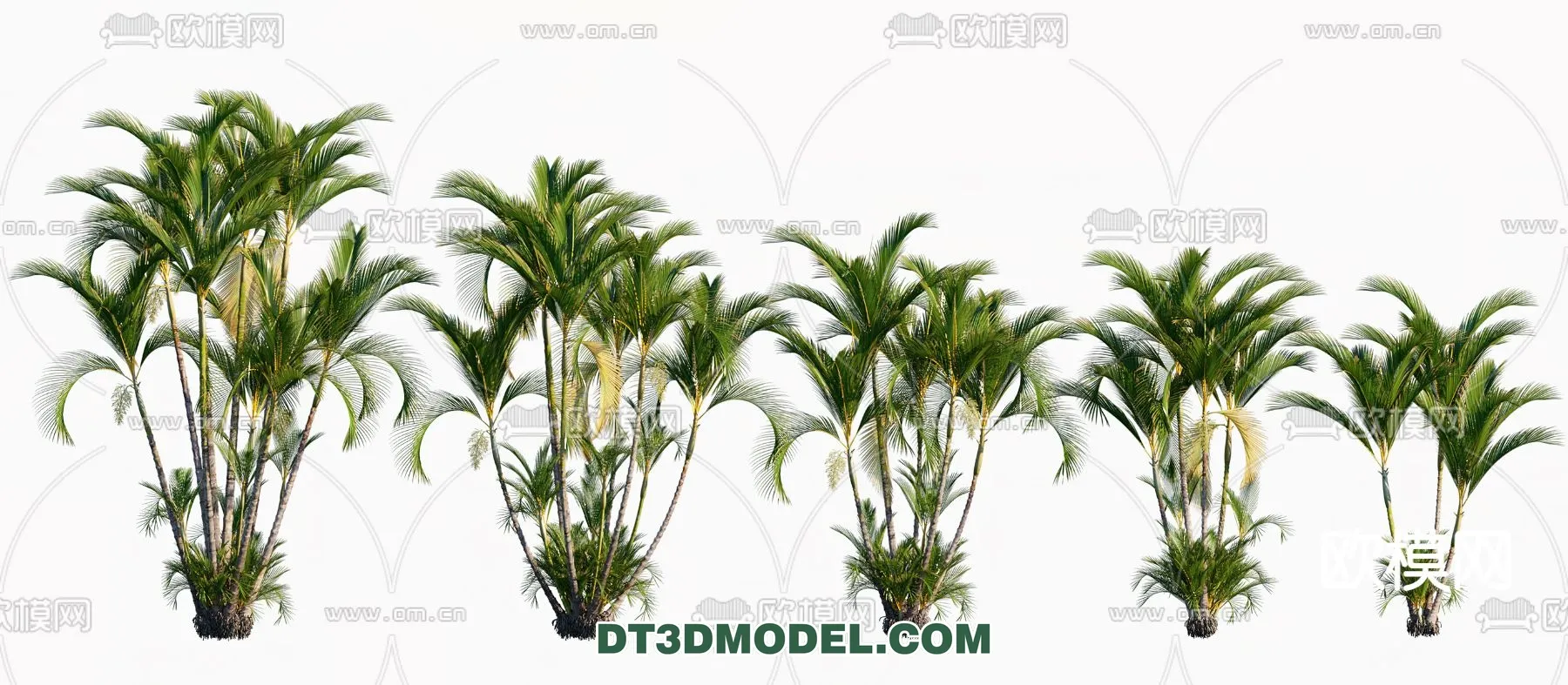 PLANTS – BUSH – VRAY / CORONA – 3D MODEL – 252