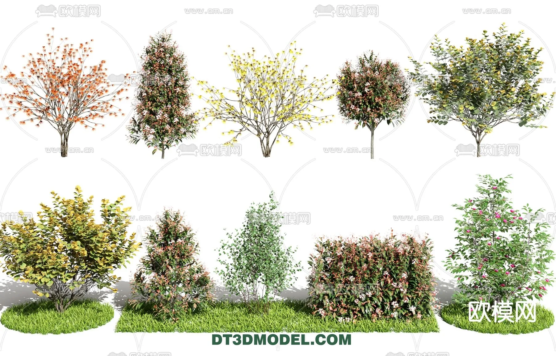 PLANTS – BUSH – VRAY / CORONA – 3D MODEL – 254