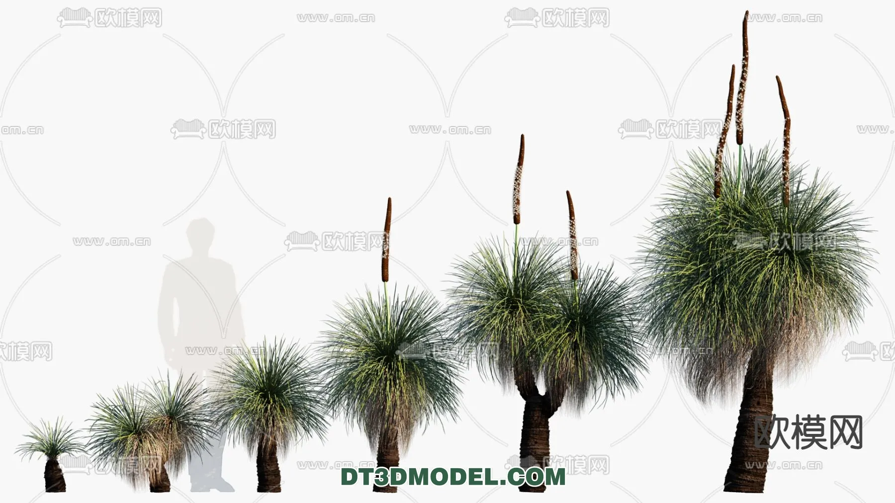 PLANTS – BUSH – VRAY / CORONA – 3D MODEL – 256