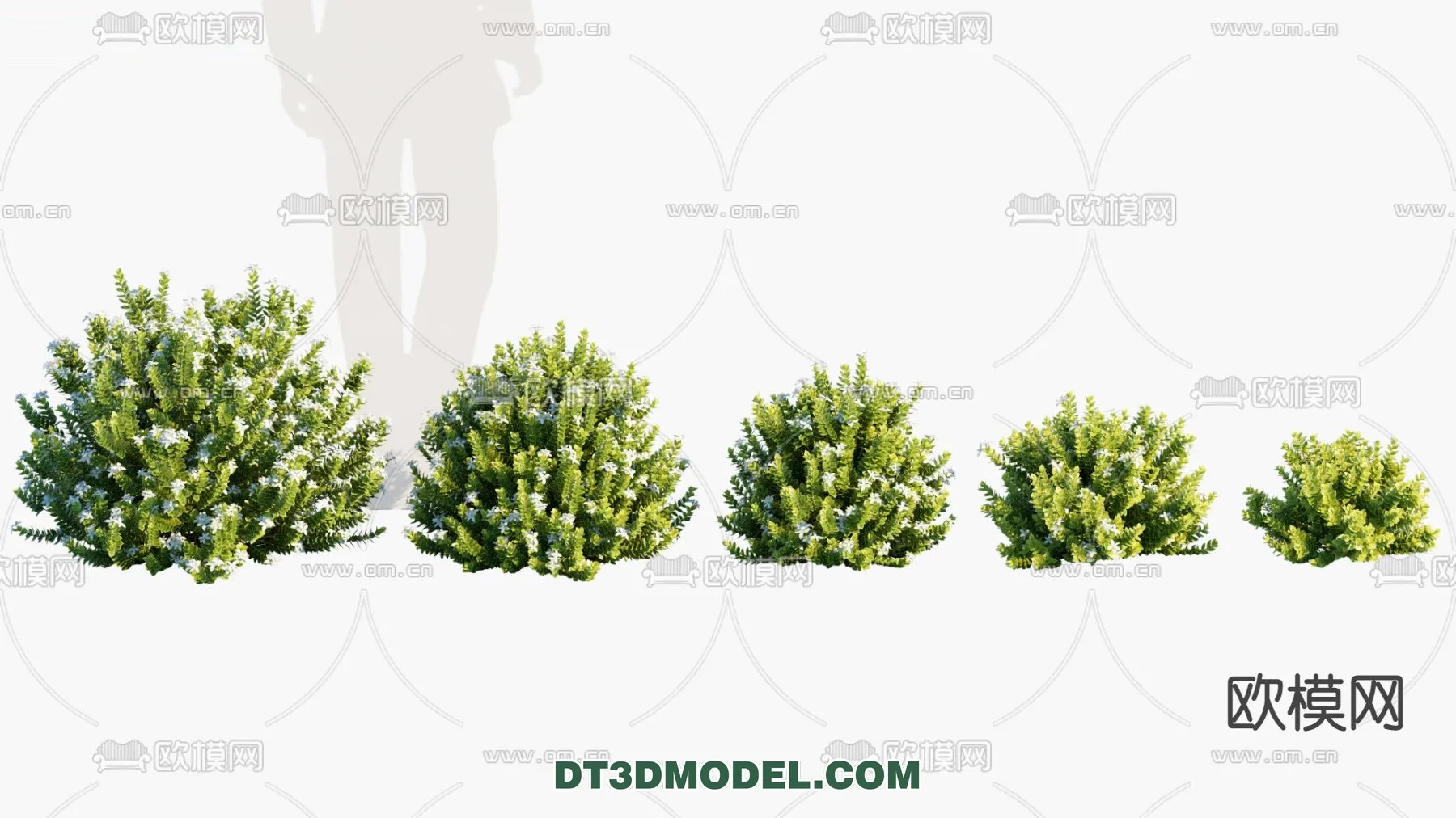 PLANTS – BUSH – VRAY / CORONA – 3D MODEL – 257