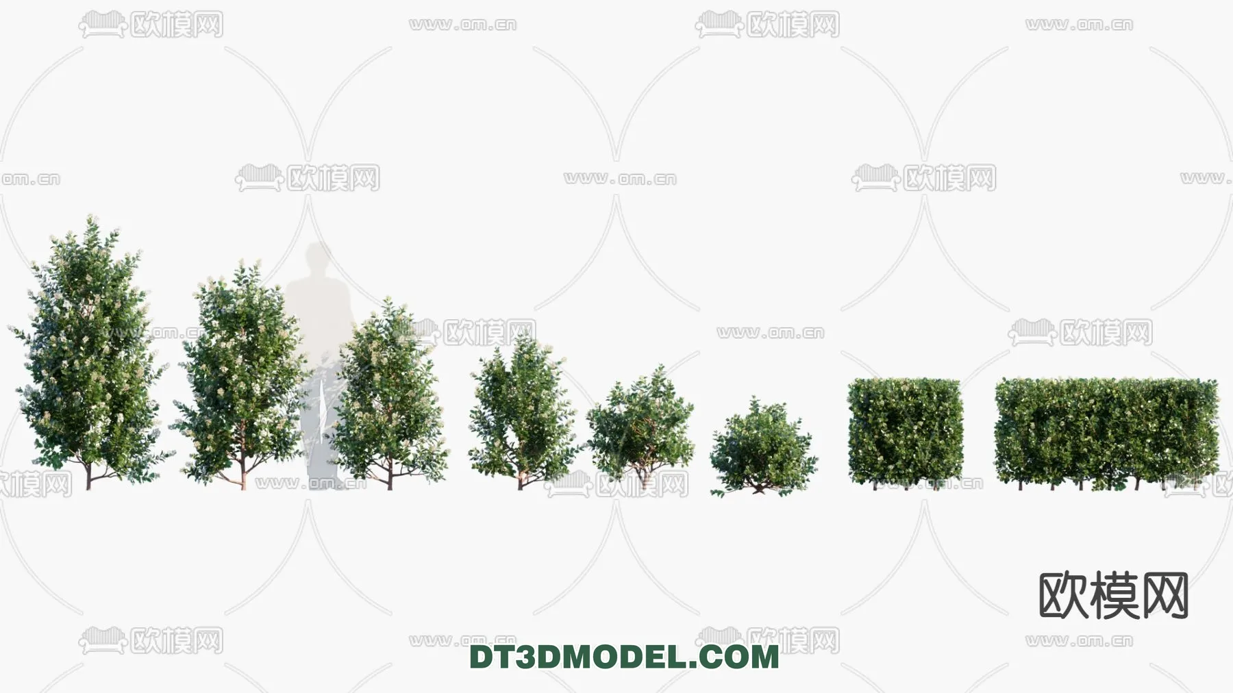 PLANTS – BUSH – VRAY / CORONA – 3D MODEL – 258