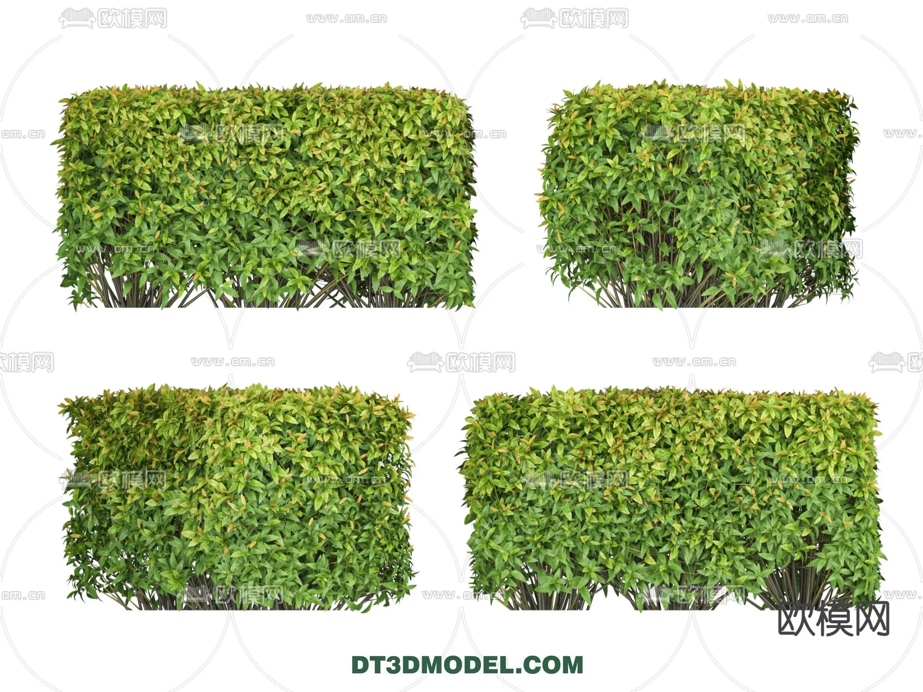 PLANTS – BUSH – VRAY / CORONA – 3D MODEL – 259