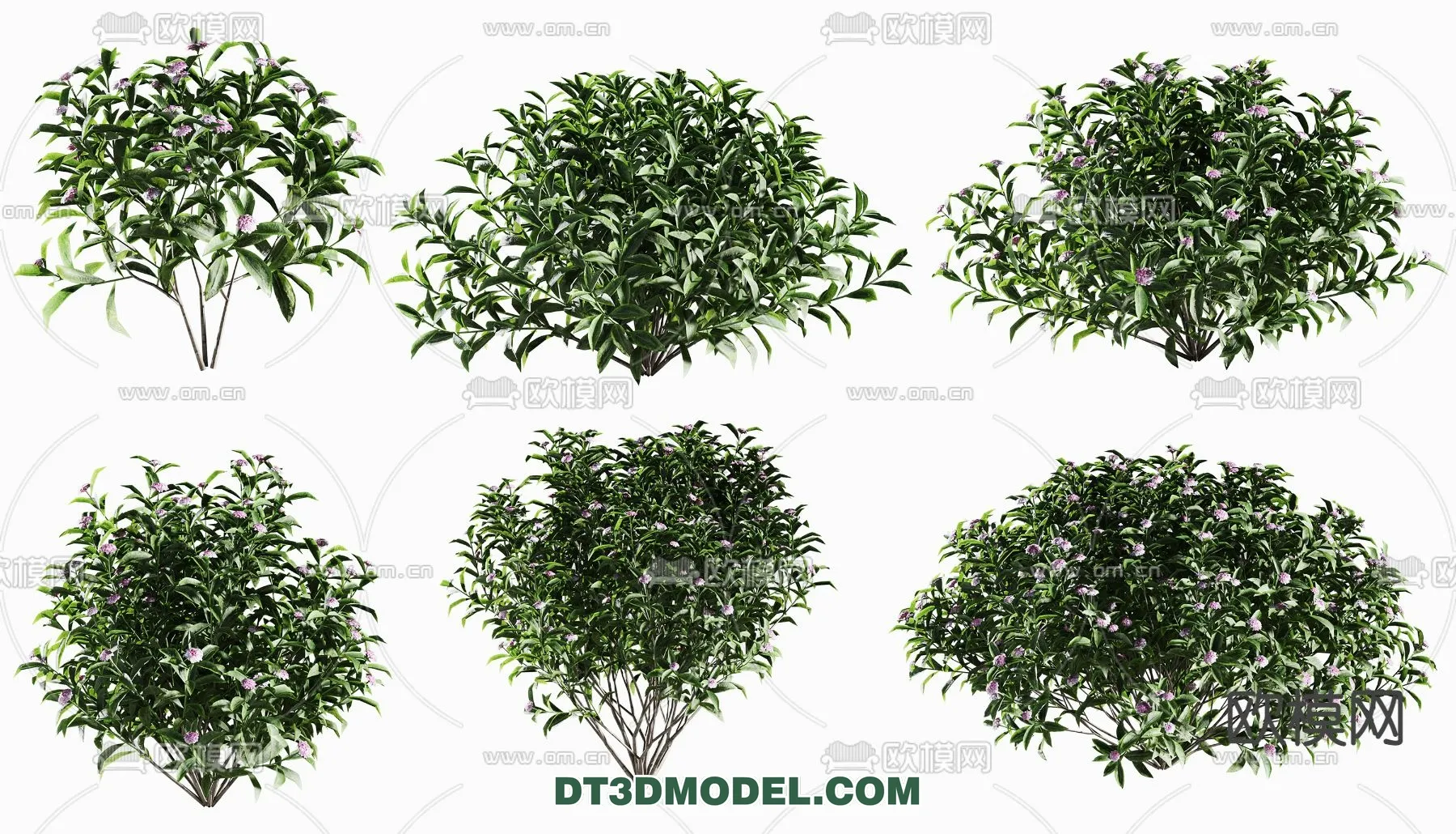 PLANTS – BUSH – VRAY / CORONA – 3D MODEL – 265