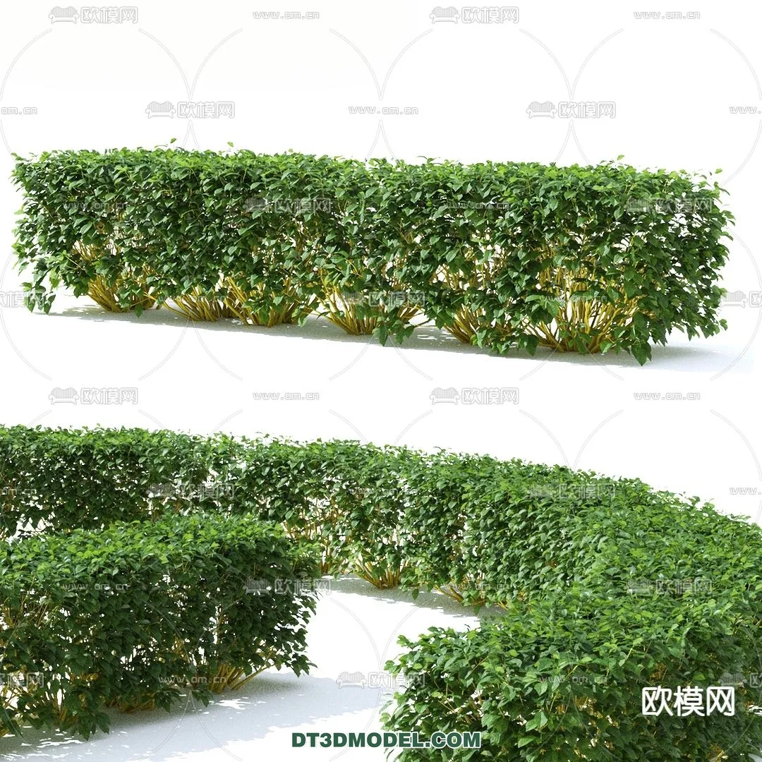 PLANTS – BUSH – VRAY / CORONA – 3D MODEL – 272