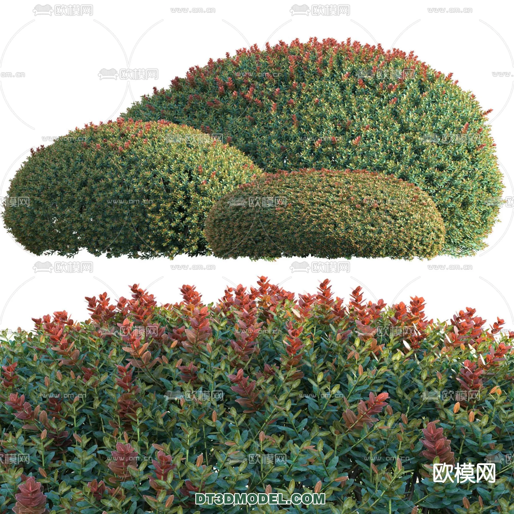 PLANTS – BUSH – VRAY / CORONA – 3D MODEL – 278