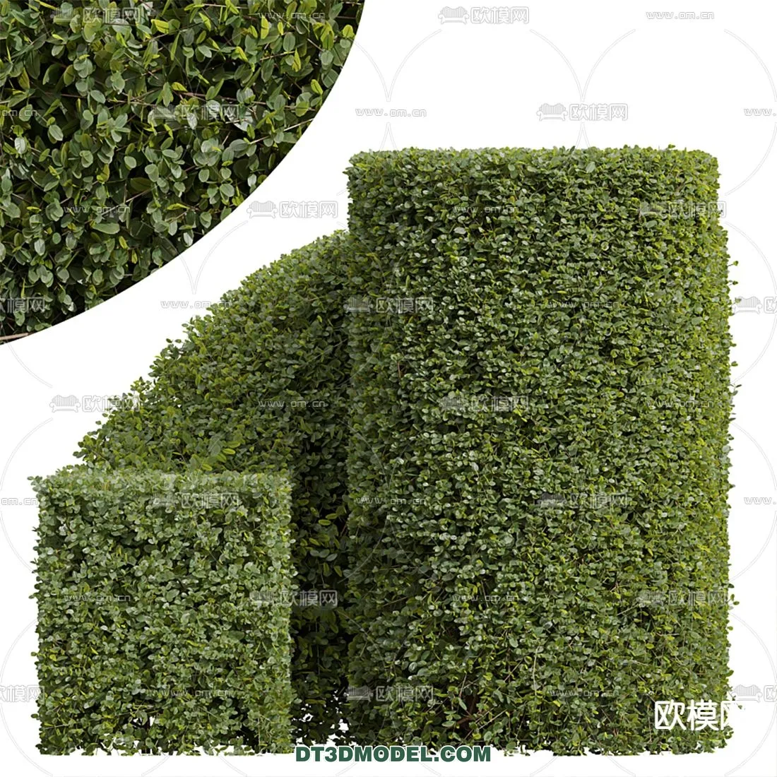 PLANTS – BUSH – VRAY / CORONA – 3D MODEL – 287