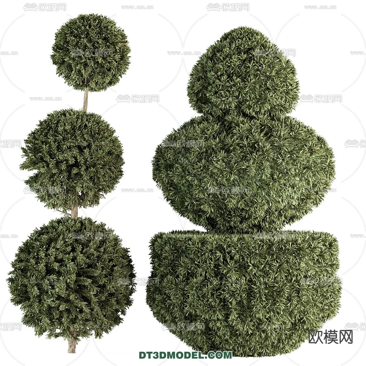 PLANTS – BUSH – VRAY / CORONA – 3D MODEL – 288