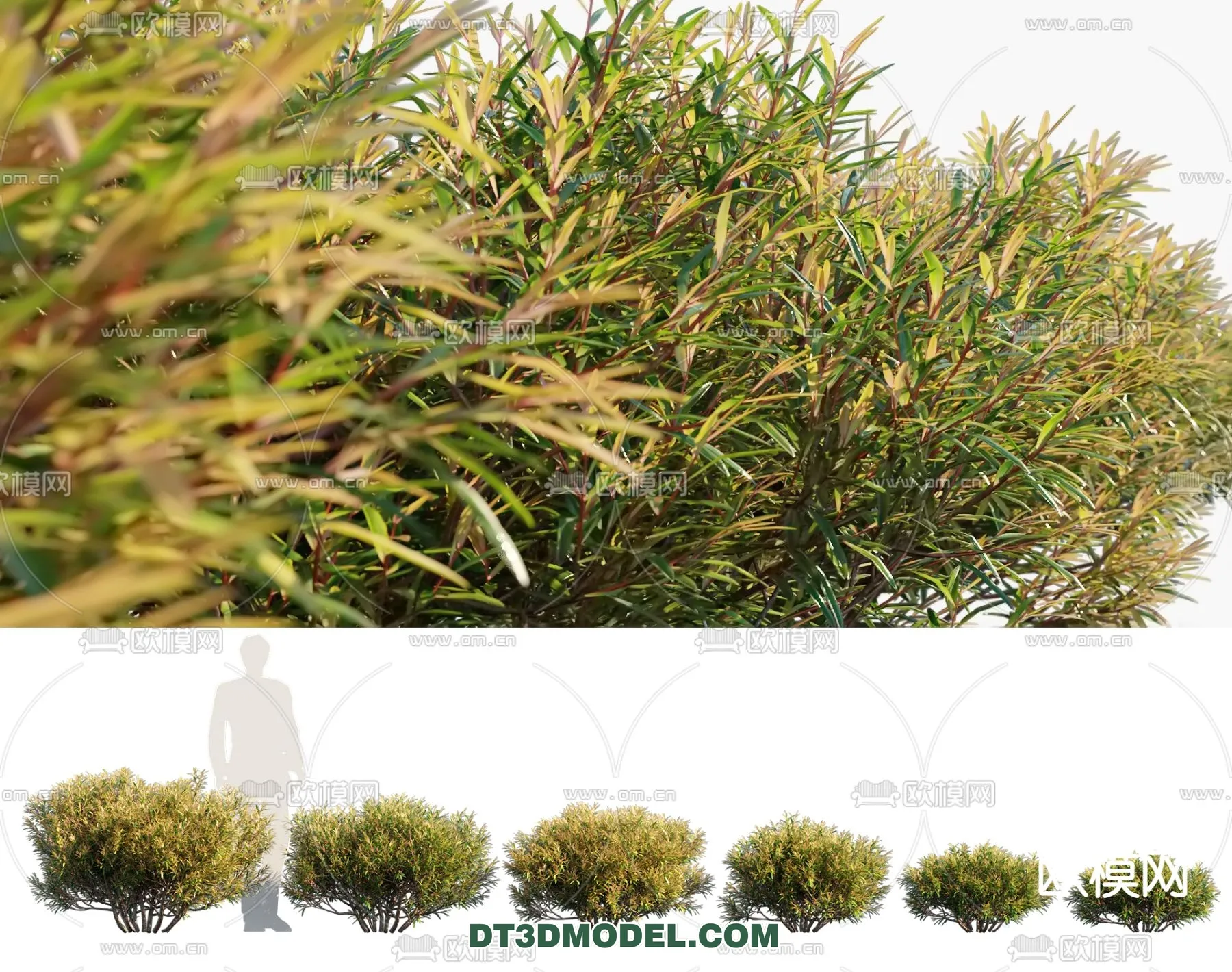 PLANTS – BUSH – VRAY / CORONA – 3D MODEL – 291