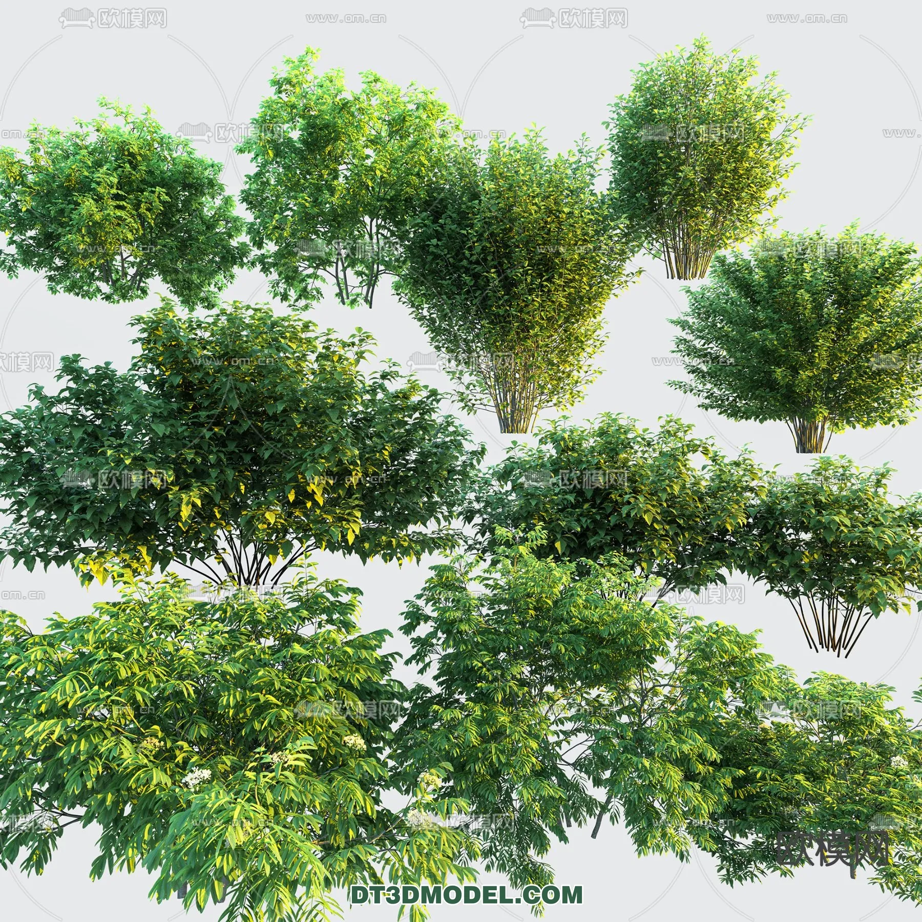 PLANTS – BUSH – VRAY / CORONA – 3D MODEL – 294