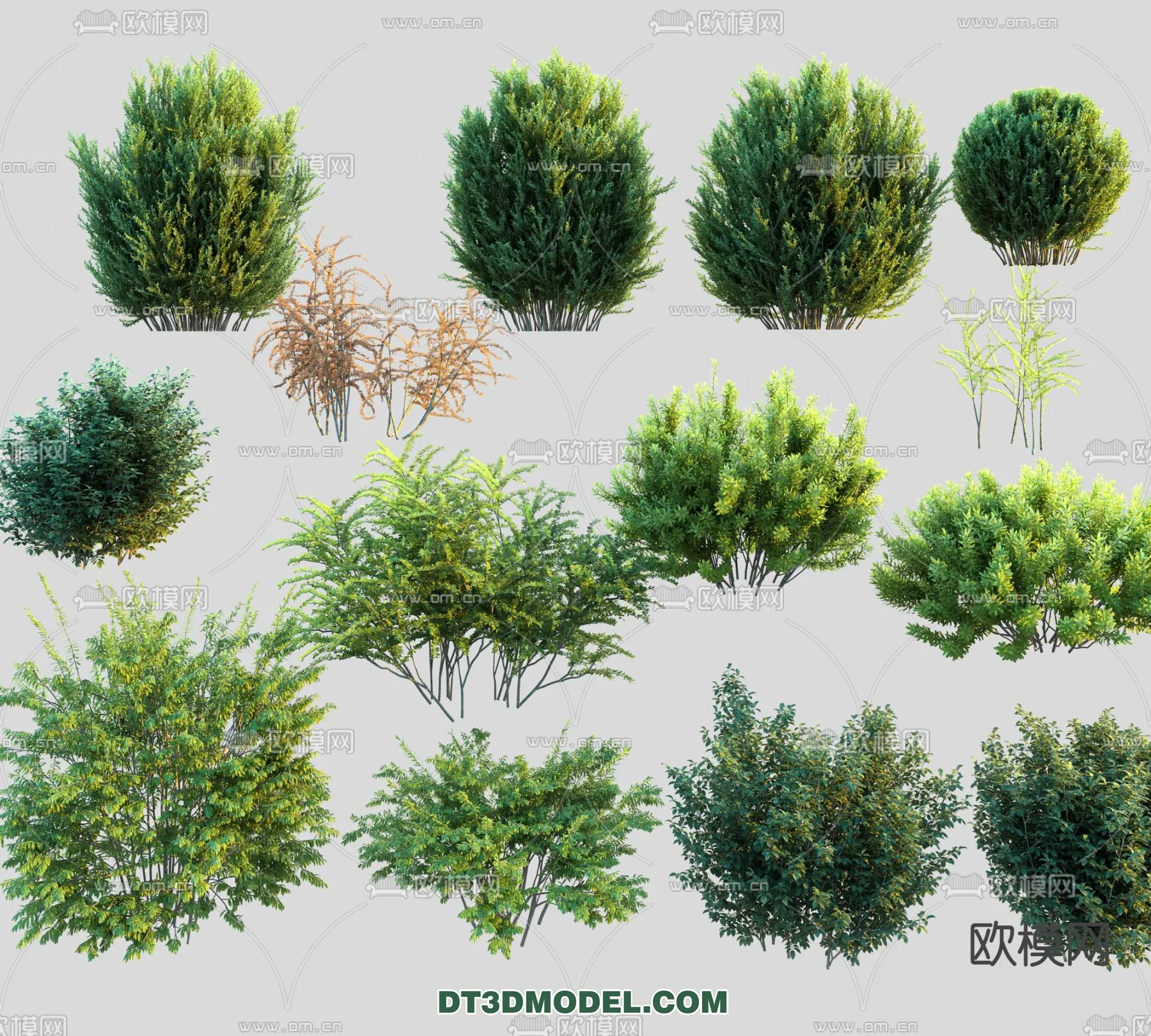 PLANTS – BUSH – VRAY / CORONA – 3D MODEL – 295