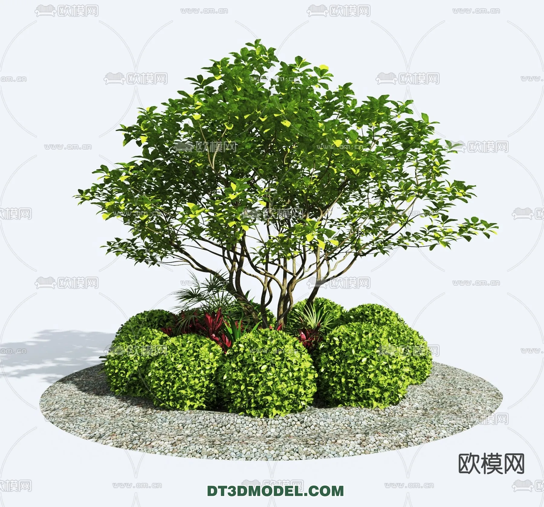 PLANTS – BUSH – VRAY / CORONA – 3D MODEL – 302