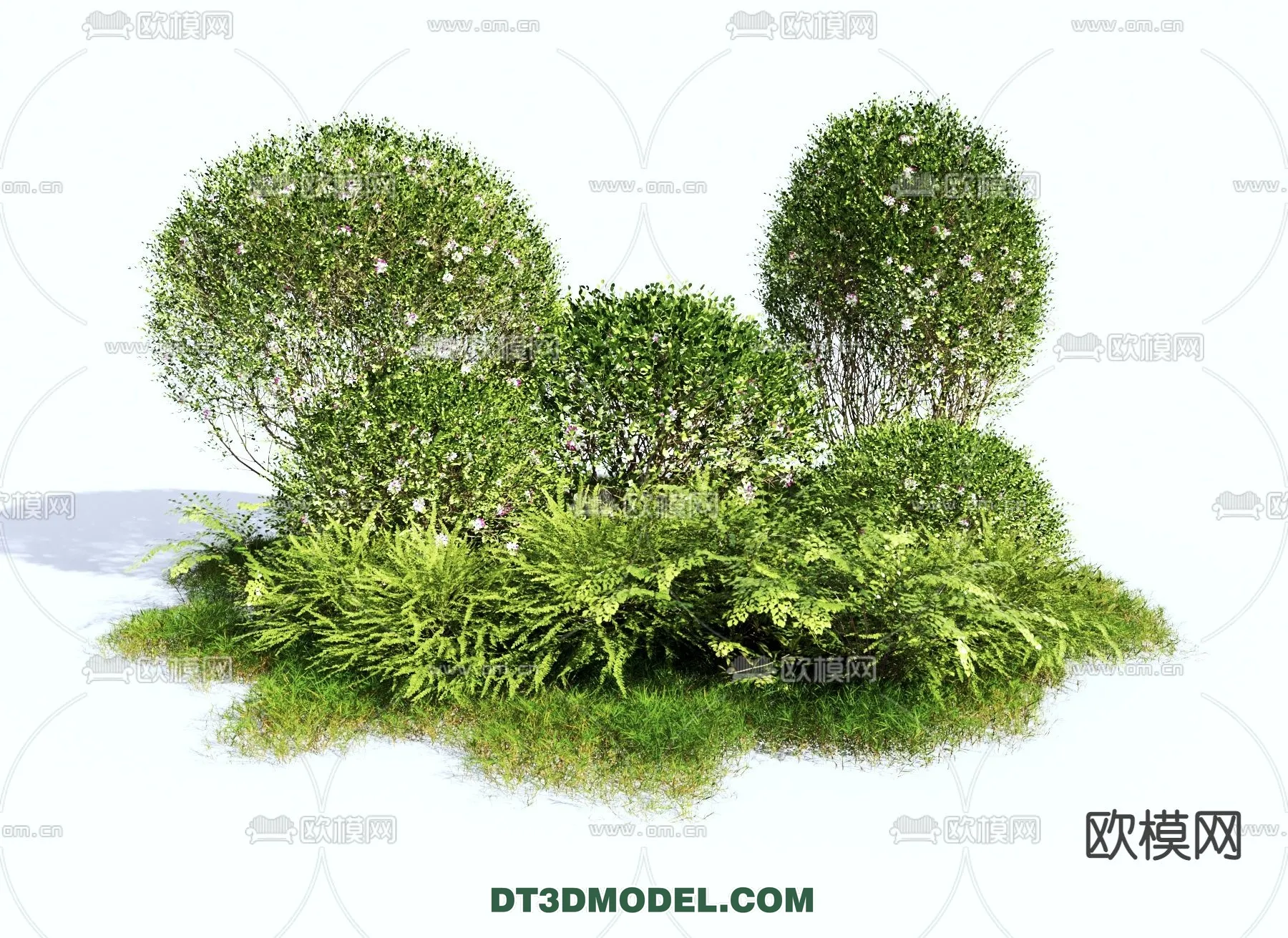 PLANTS – BUSH – VRAY / CORONA – 3D MODEL – 303