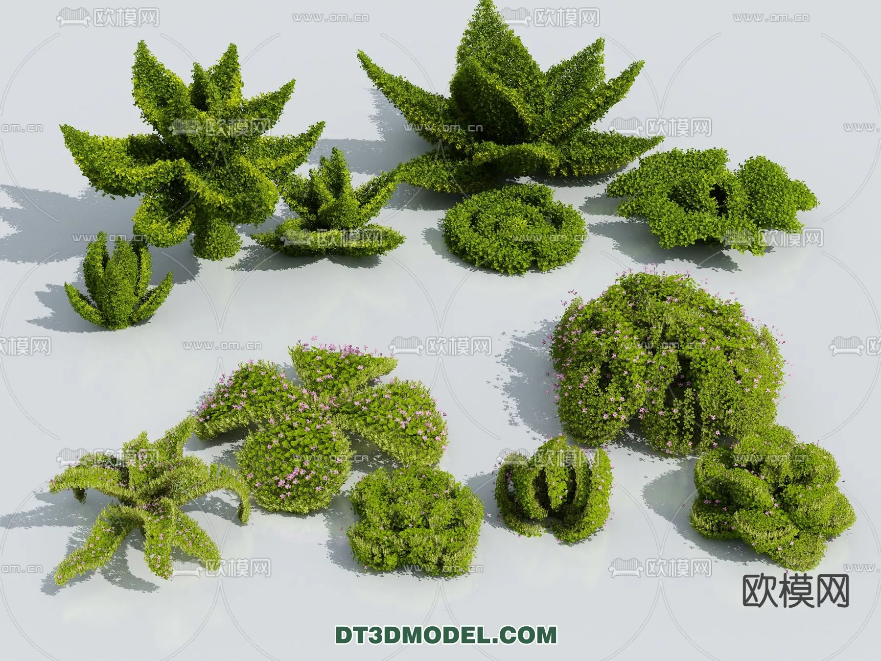 PLANTS – BUSH – VRAY / CORONA – 3D MODEL – 308