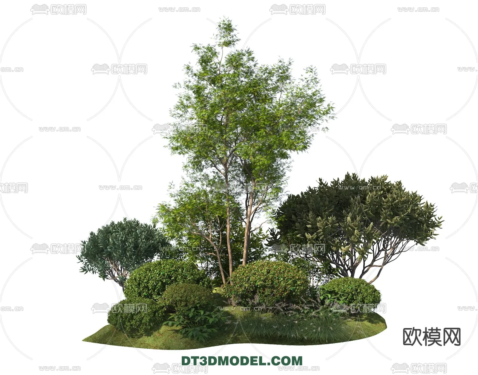 PLANTS – BUSH – VRAY / CORONA – 3D MODEL – 310