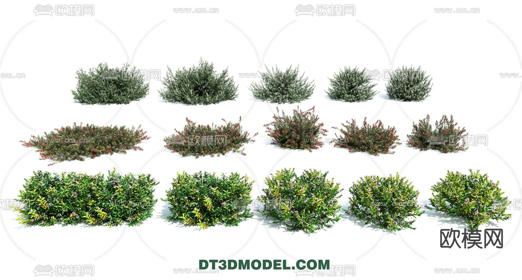 PLANTS – BUSH – VRAY / CORONA – 3D MODEL – 314