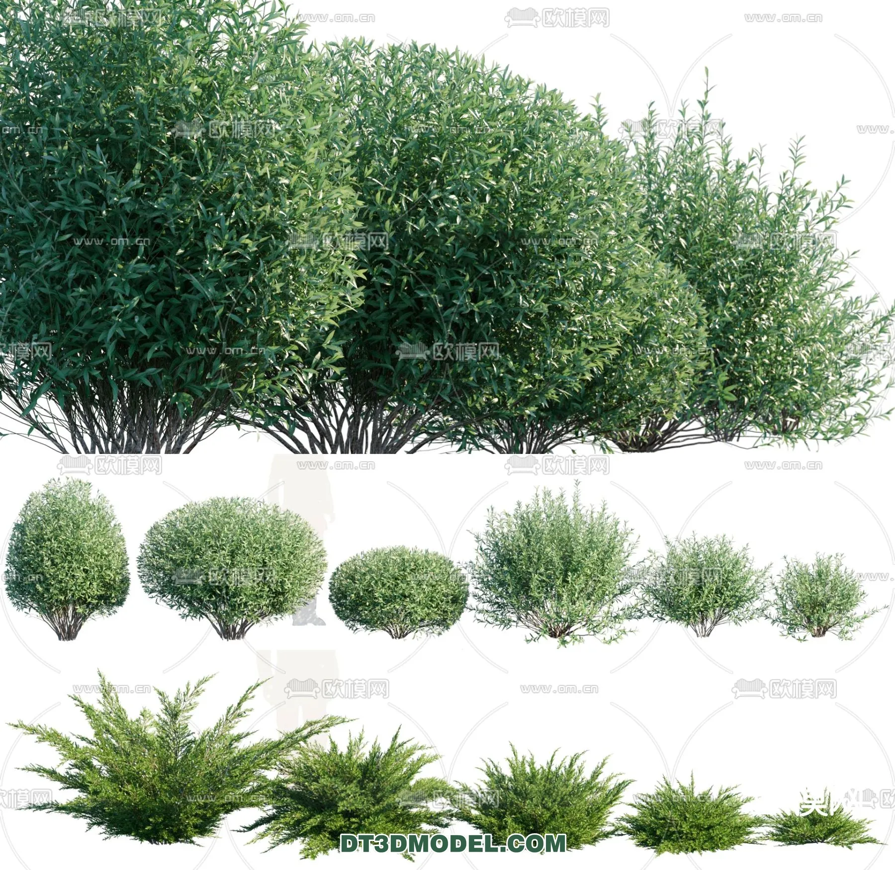 PLANTS – BUSH – VRAY / CORONA – 3D MODEL – 321