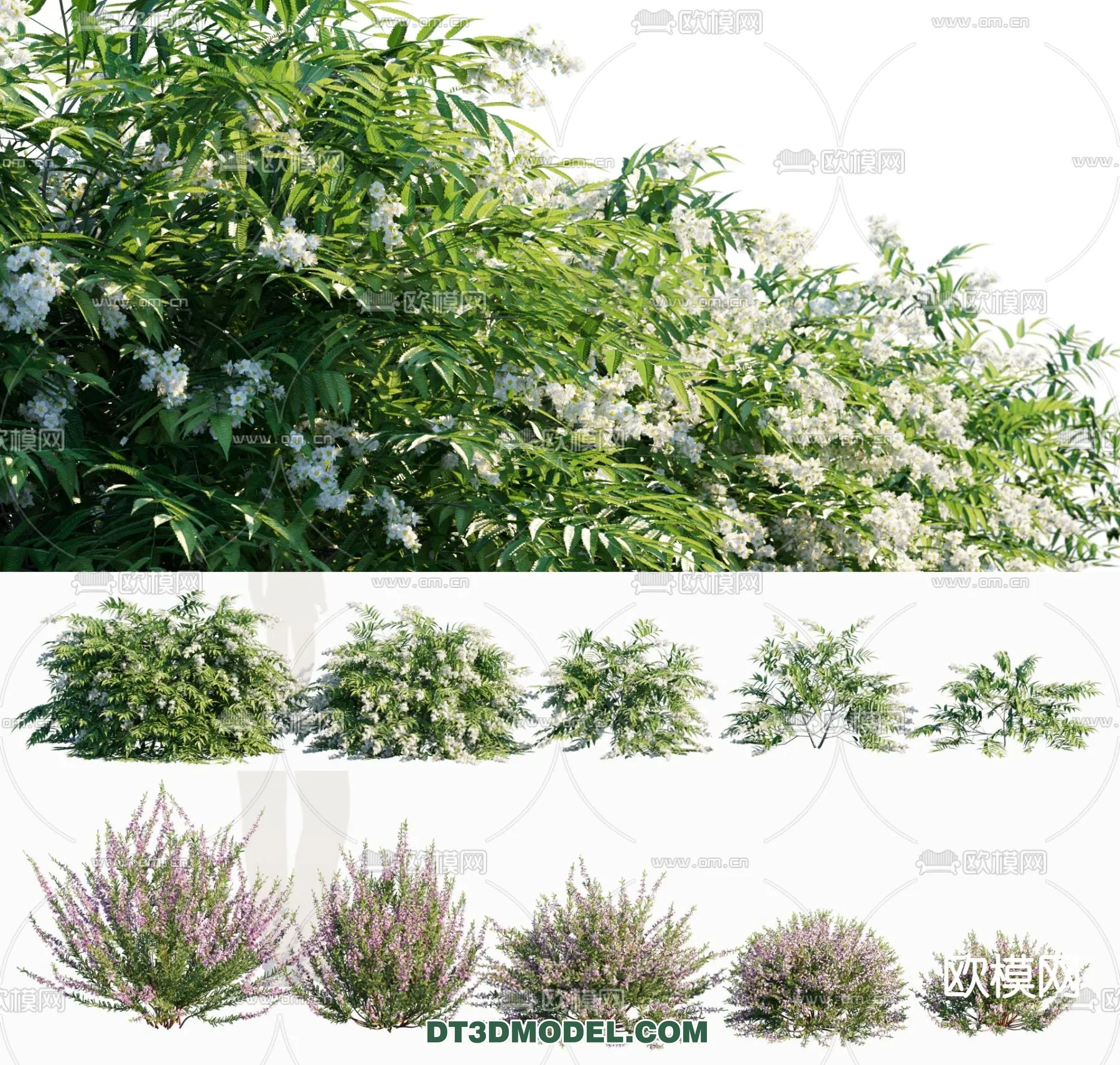PLANTS – BUSH – VRAY / CORONA – 3D MODEL – 322