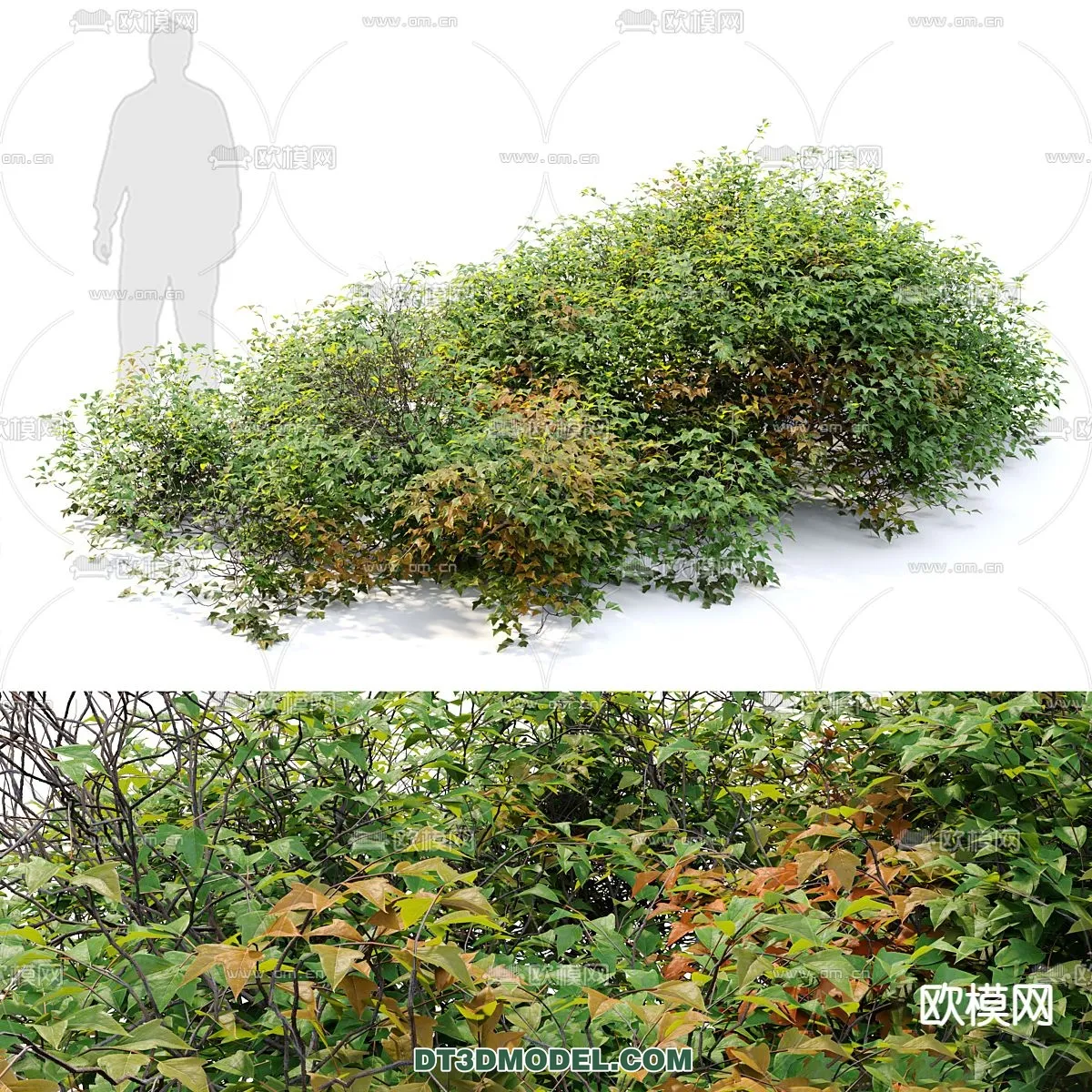 PLANTS – BUSH – VRAY / CORONA – 3D MODEL – 327