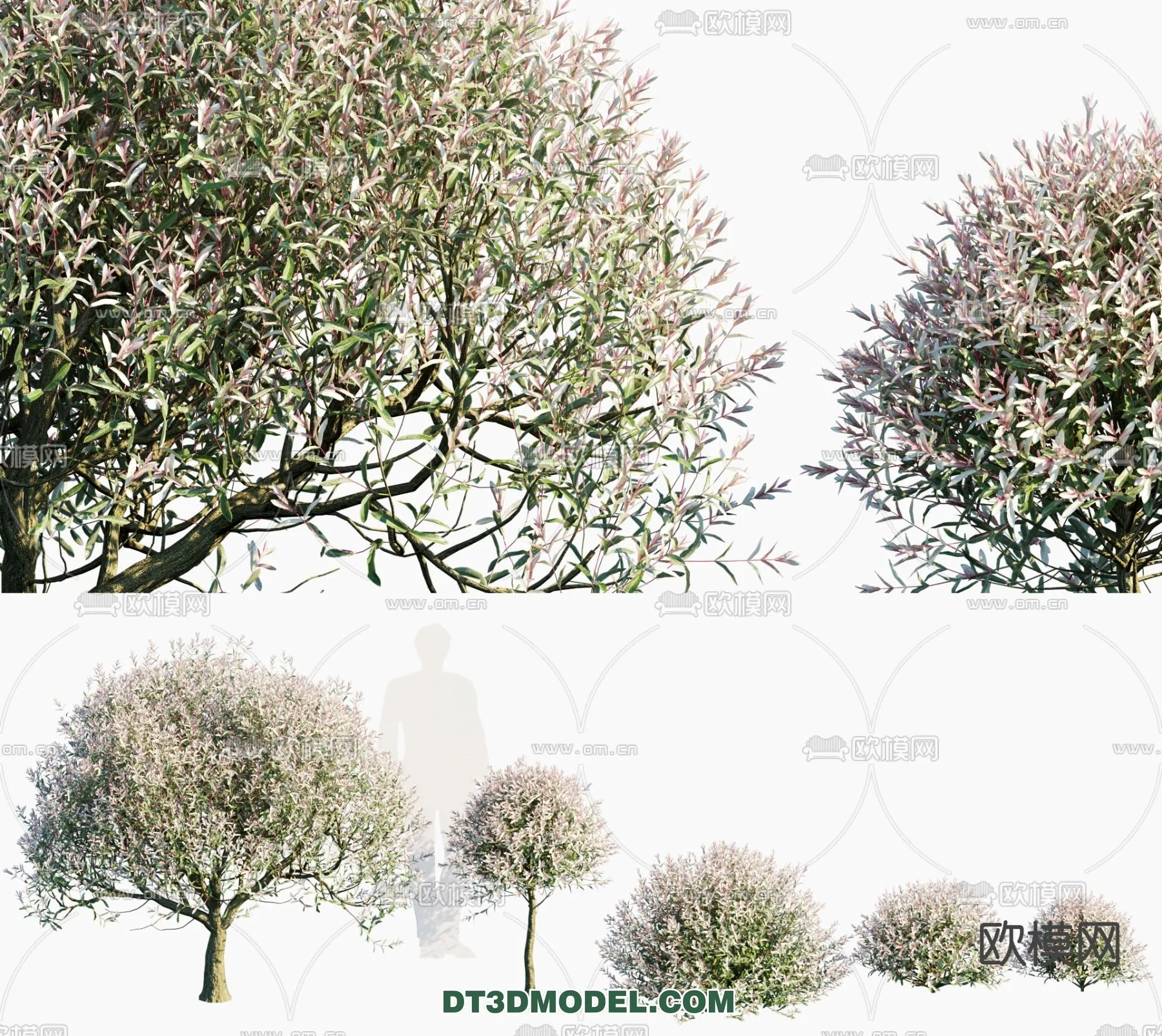 PLANTS – BUSH – VRAY / CORONA – 3D MODEL – 330