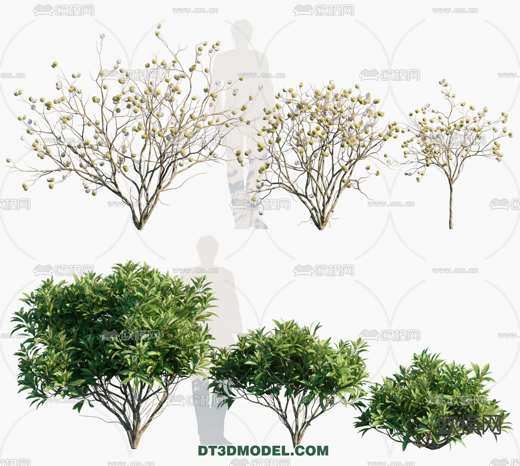 PLANTS – BUSH – VRAY / CORONA – 3D MODEL – 331