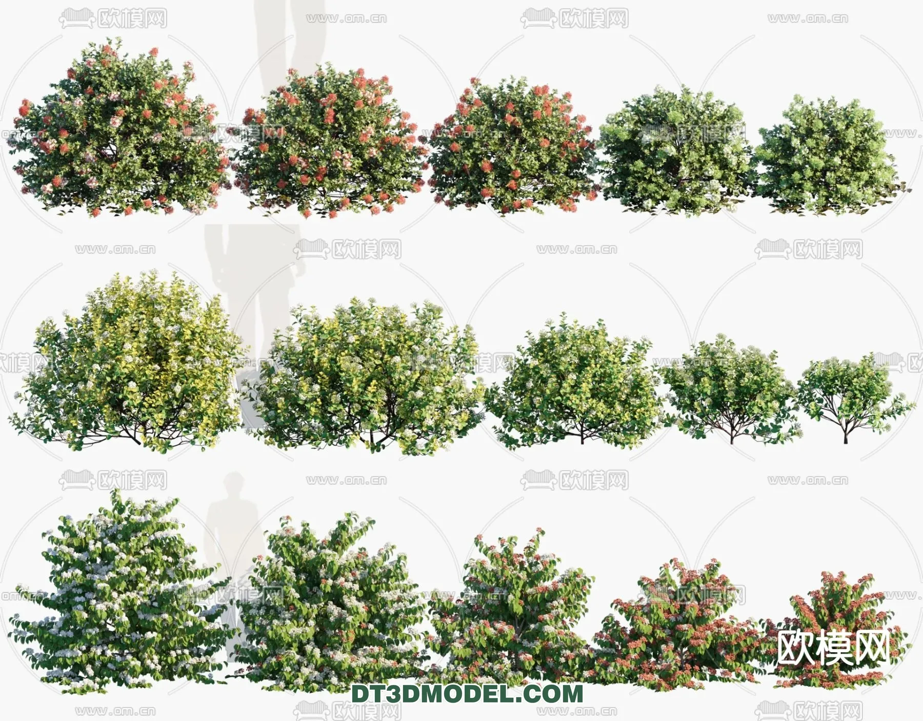 PLANTS – BUSH – VRAY / CORONA – 3D MODEL – 338