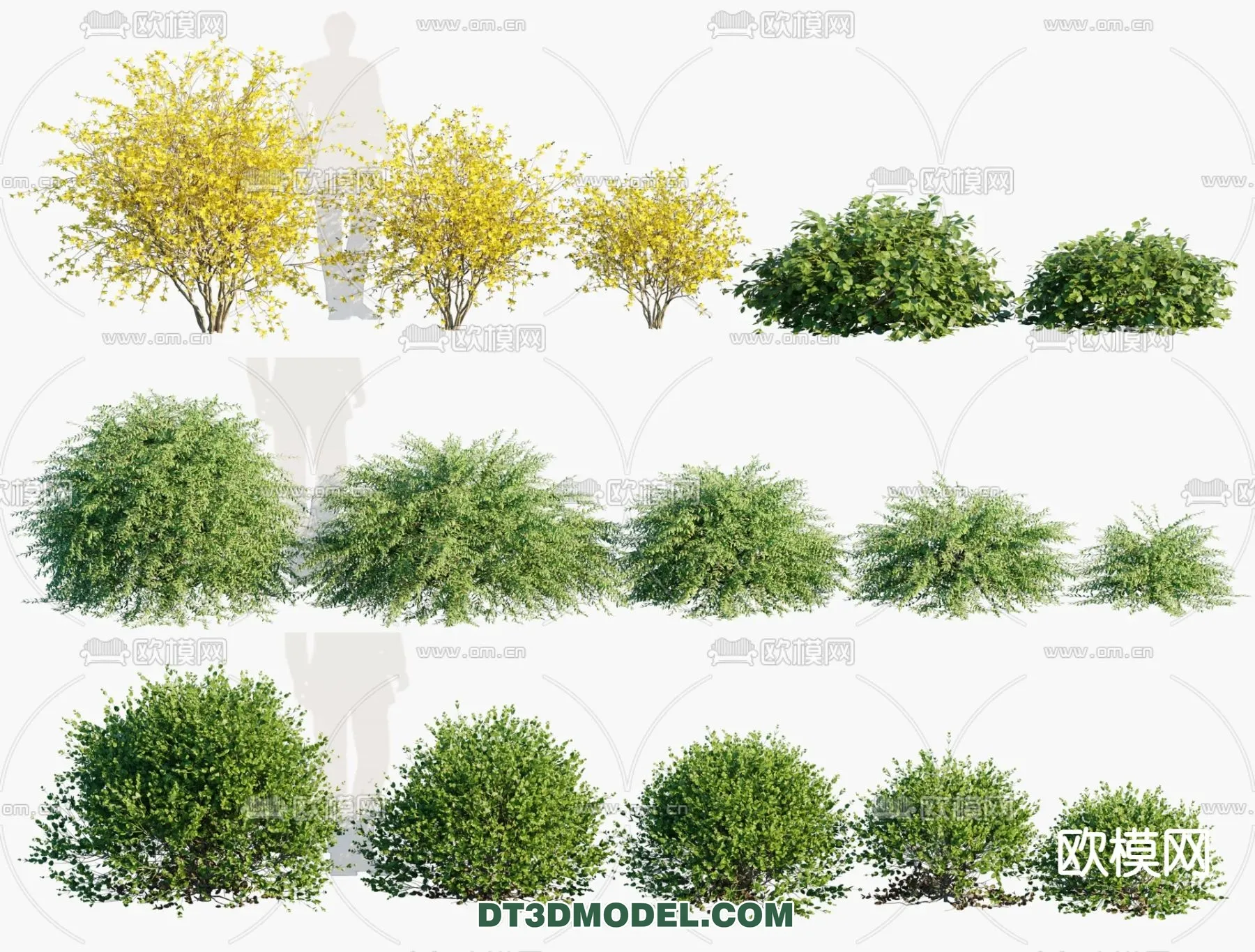 PLANTS – BUSH – VRAY / CORONA – 3D MODEL – 339