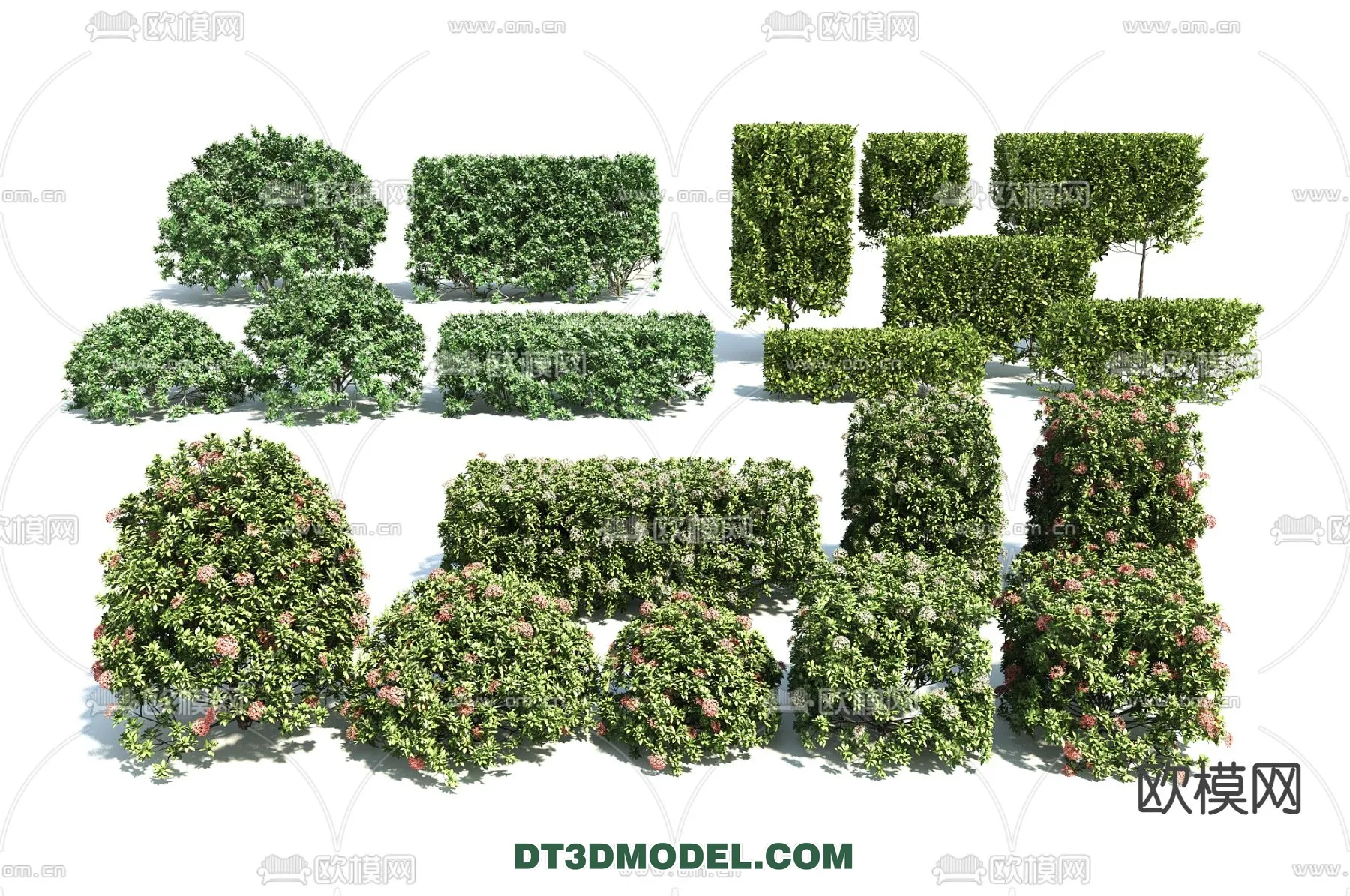 PLANTS – BUSH – VRAY / CORONA – 3D MODEL – 344