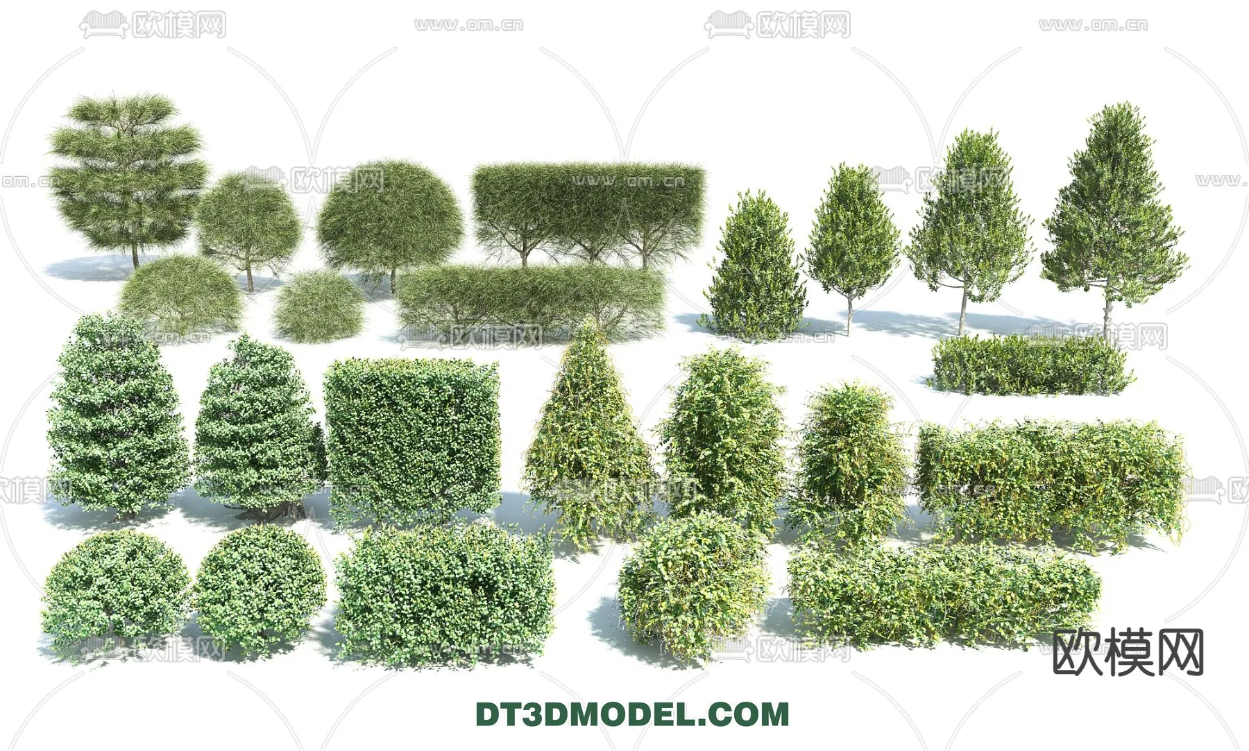 PLANTS – BUSH – VRAY / CORONA – 3D MODEL – 346