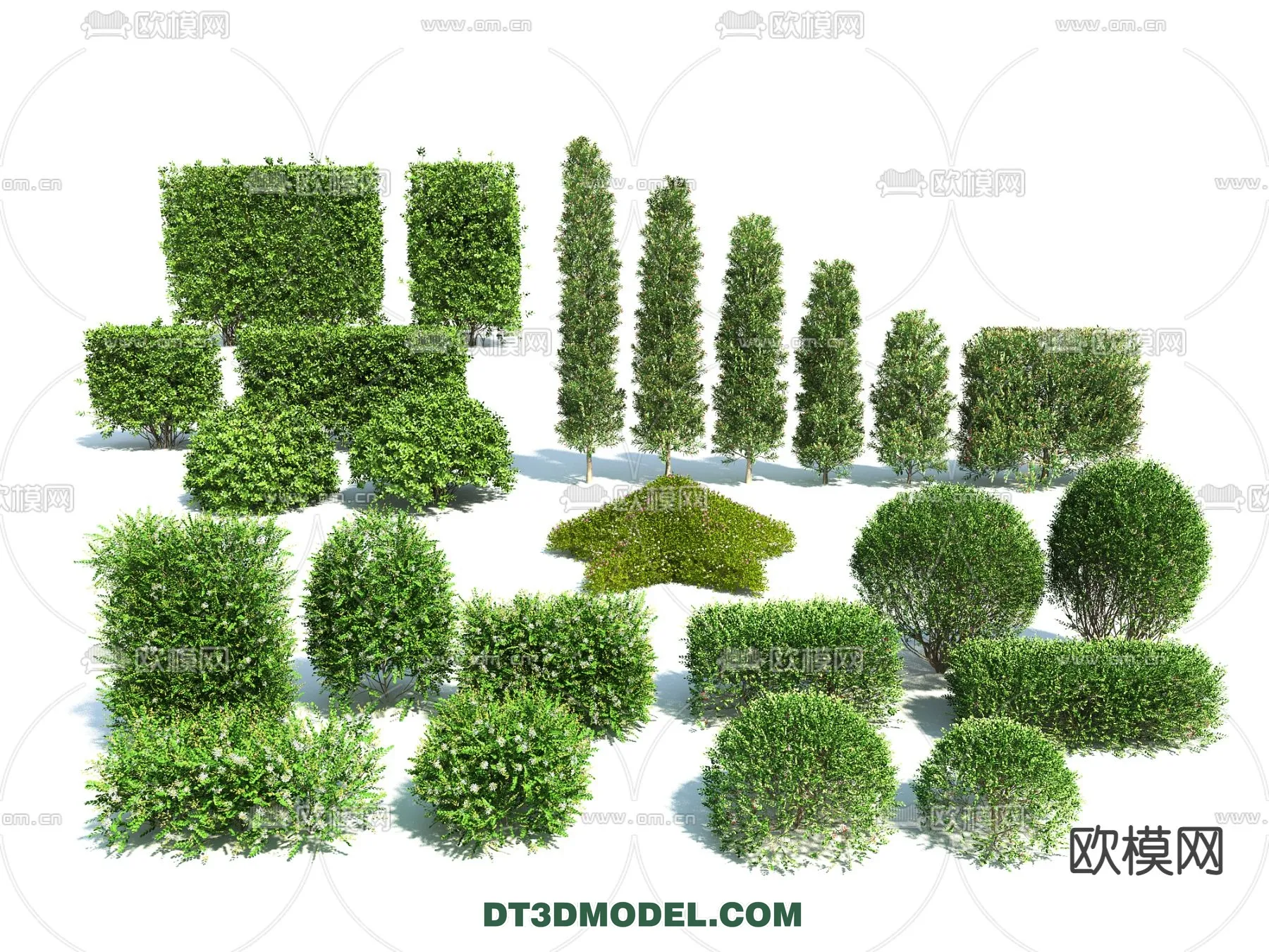 PLANTS – BUSH – VRAY / CORONA – 3D MODEL – 347