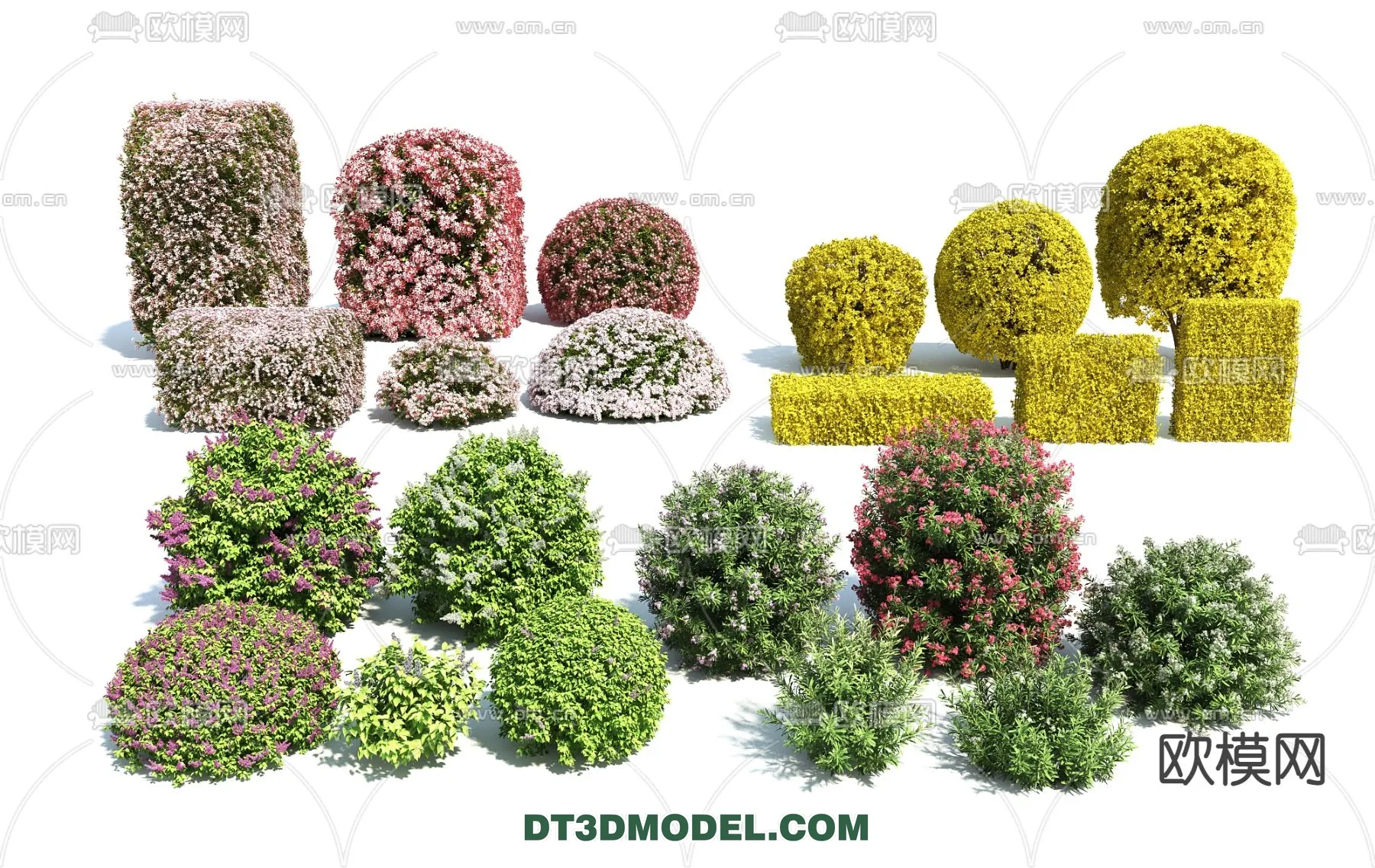 PLANTS – BUSH – VRAY / CORONA – 3D MODEL – 348