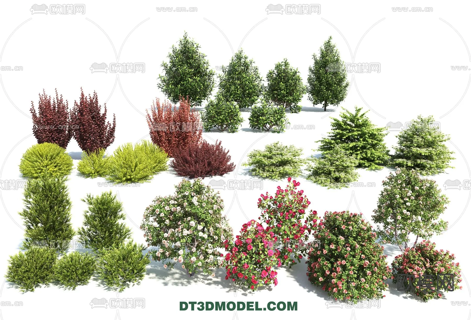 PLANTS – BUSH – VRAY / CORONA – 3D MODEL – 350