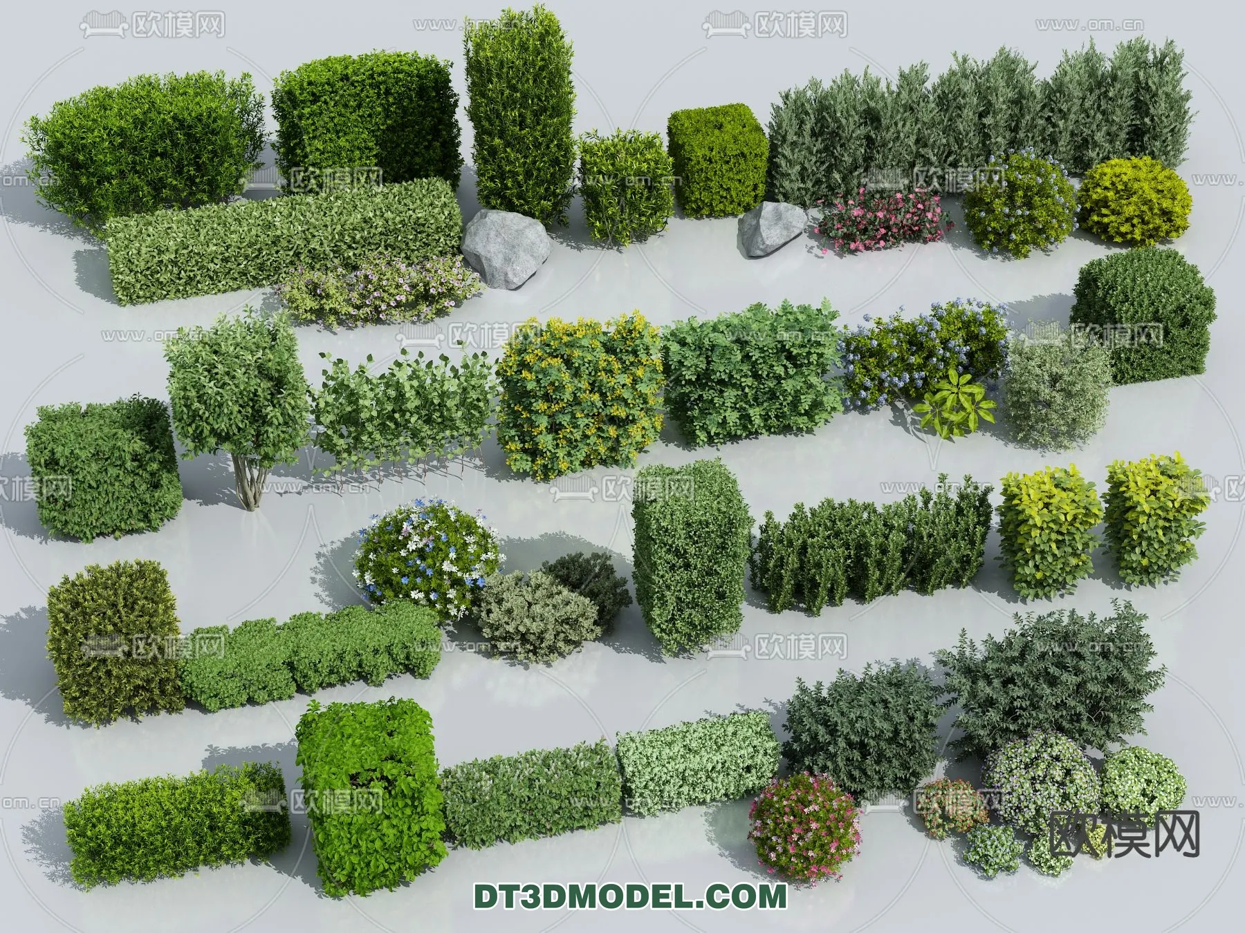 PLANTS – BUSH – VRAY / CORONA – 3D MODEL – 352
