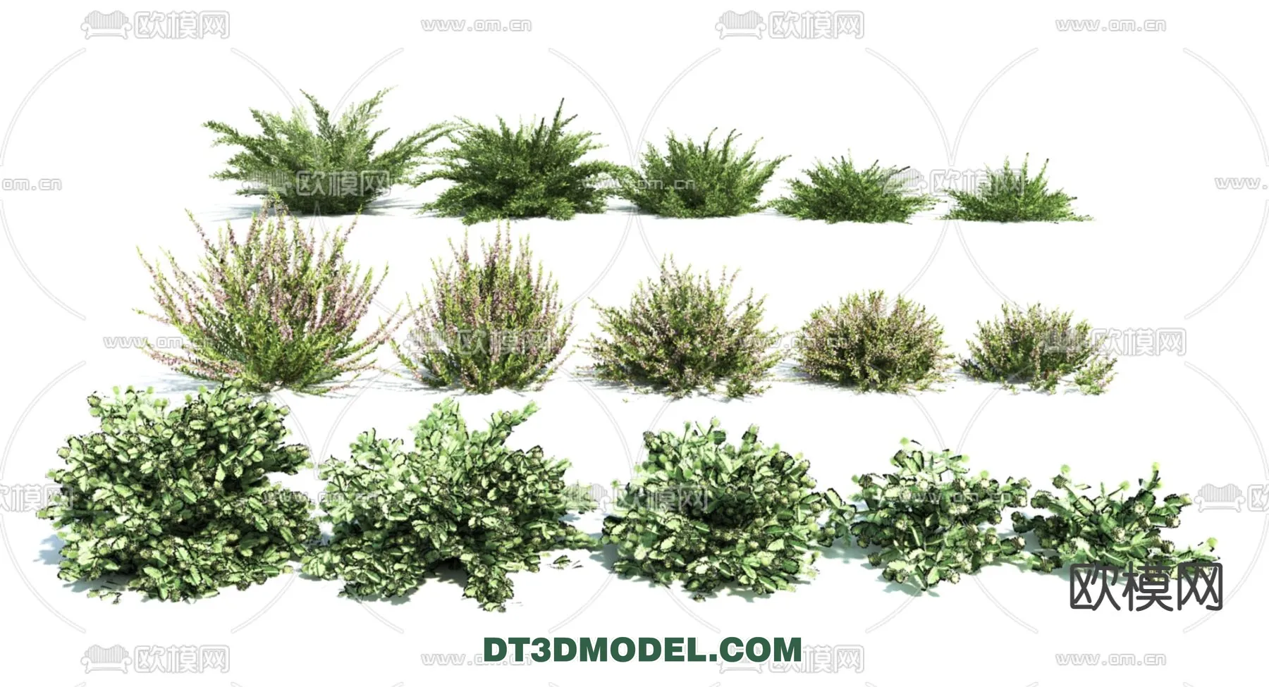 PLANTS – BUSH – VRAY / CORONA – 3D MODEL – 354