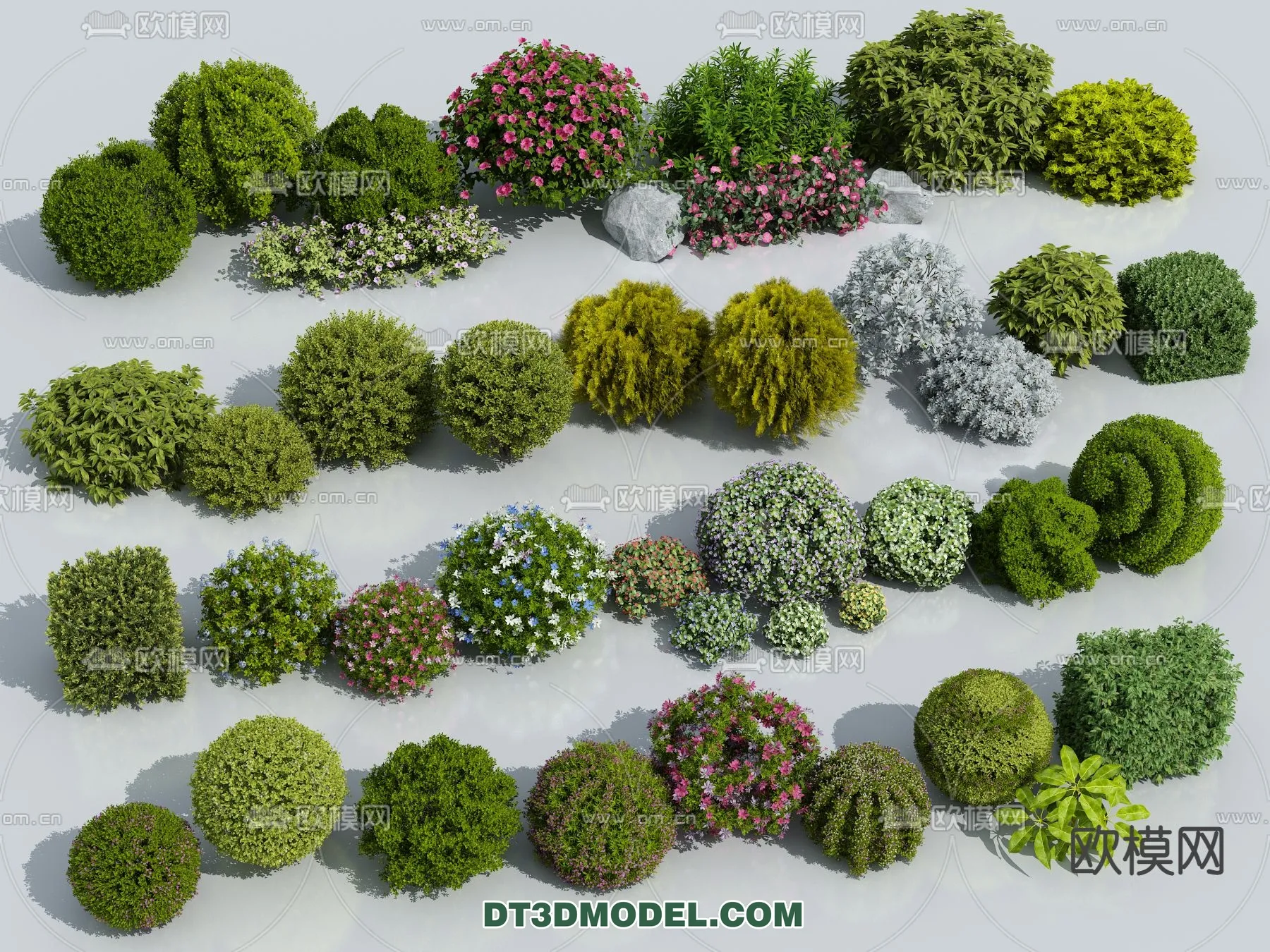 PLANTS – BUSH – VRAY / CORONA – 3D MODEL – 355