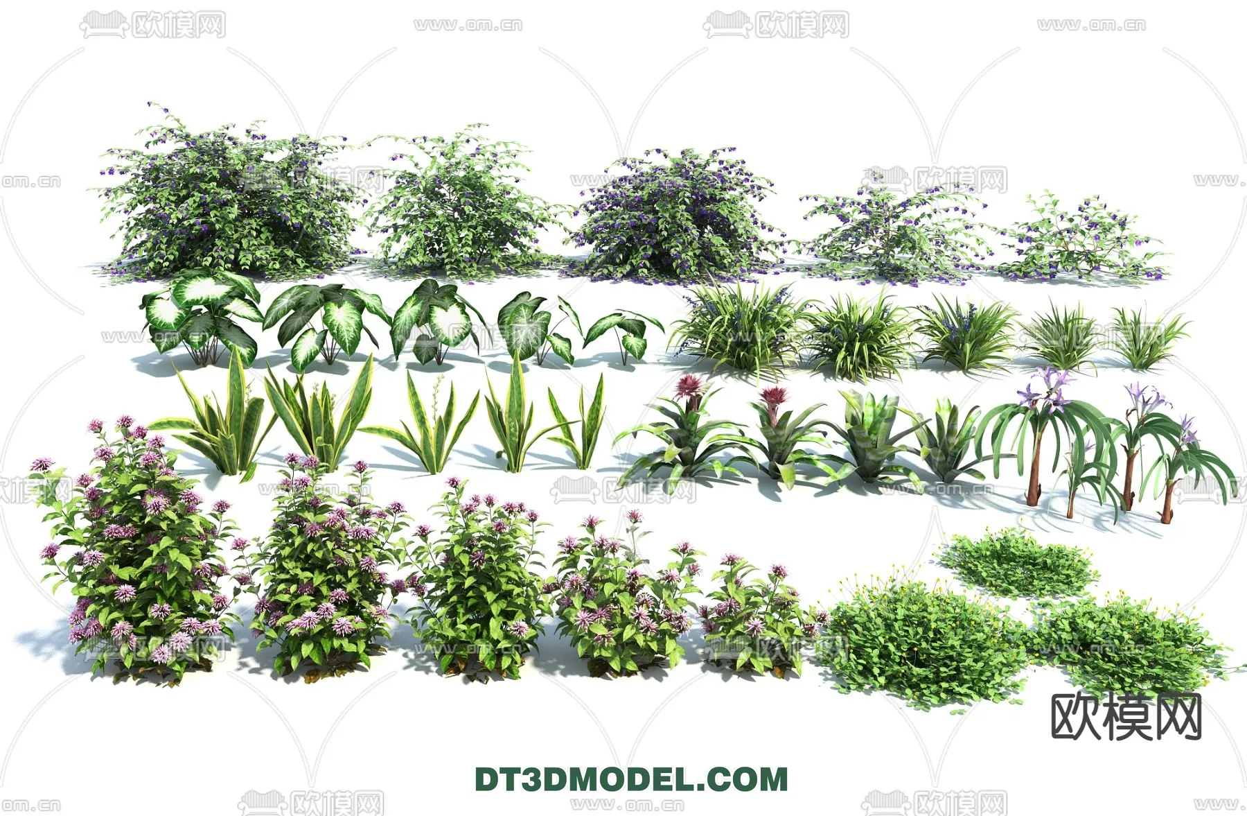 PLANTS – BUSH – VRAY / CORONA – 3D MODEL – 357