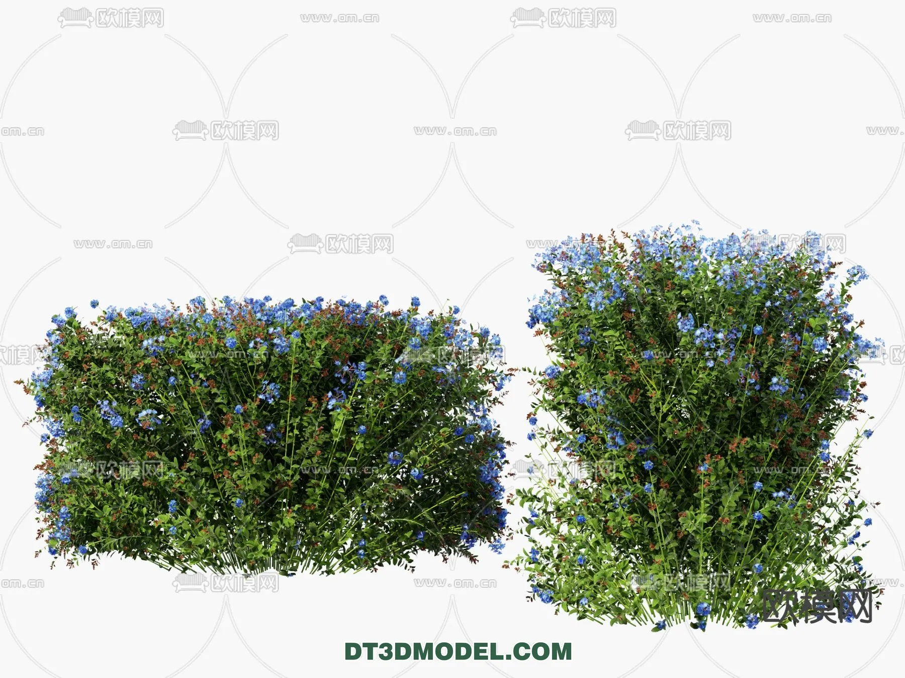 PLANTS – BUSH – VRAY / CORONA – 3D MODEL – 358